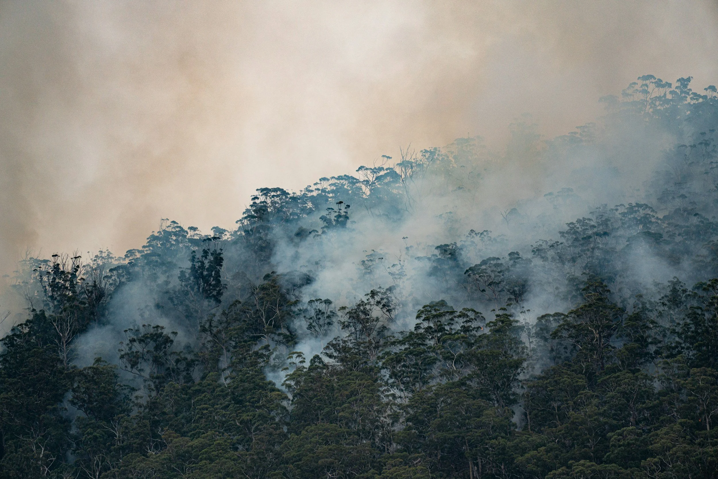 Green Junction - The Air Around Us: PM2.5, Wildfires, and a Changing Climate