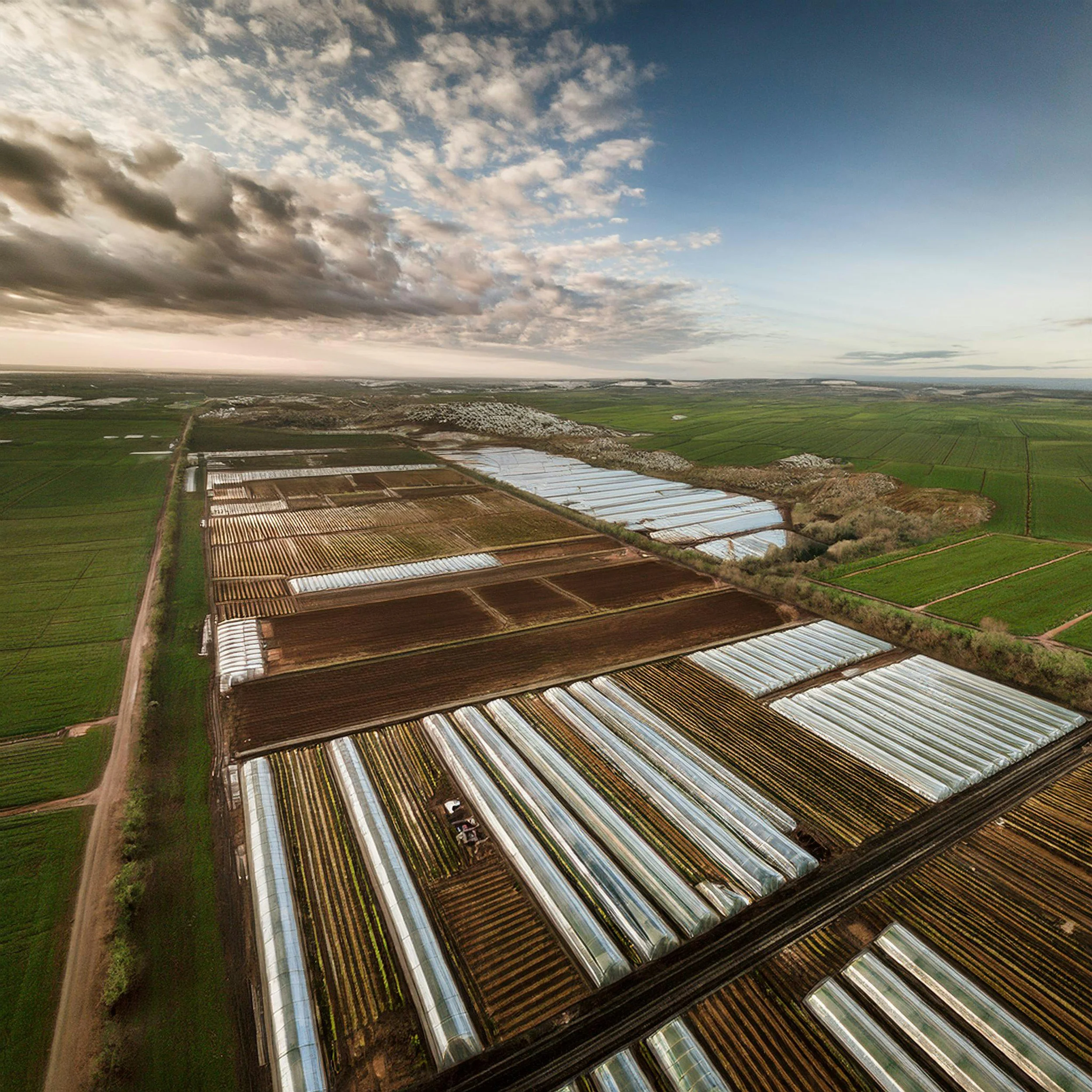 Green Junction - The Waste We Don’t See: Factory Farms and Water Pollution
