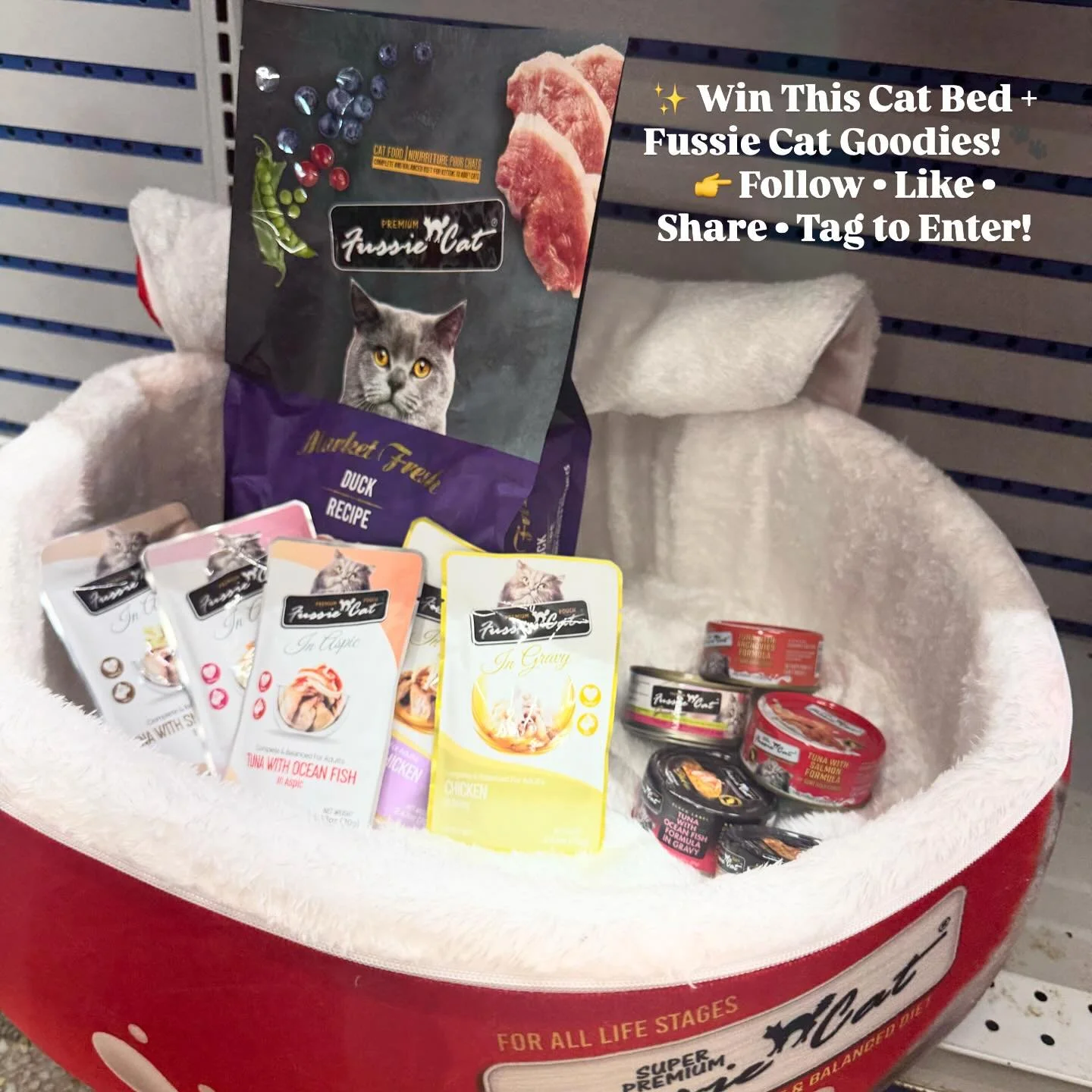 🐾 GIVEAWAY TIME! 🐾
One lucky kitty will win this cozy cat bed filled with Fussie Cat goodies &ndash; premium food AND a comfy new spot to nap! 🐱✨

Fussie Cat is known for its super premium, grain-free recipes made with high-quality proteins and ir