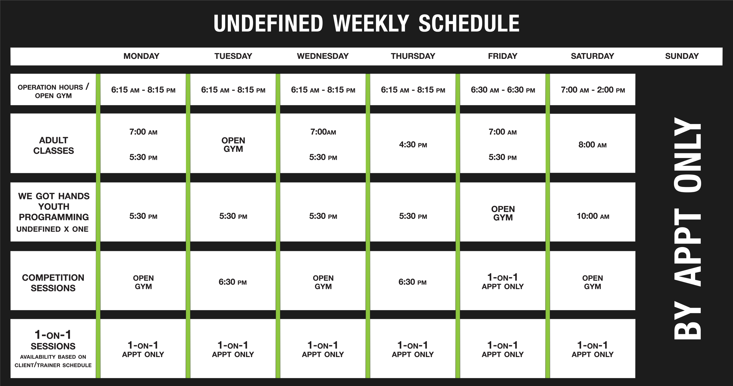 Weekly schedule chart titled 'UNDEFINED WEEKLY SCHEDULE,' listing hours for gym operation, adult classes, youth programming, competition sessions, and appointments from Monday to Sunday, with specific times and notes on availability and appointment-only sessions.