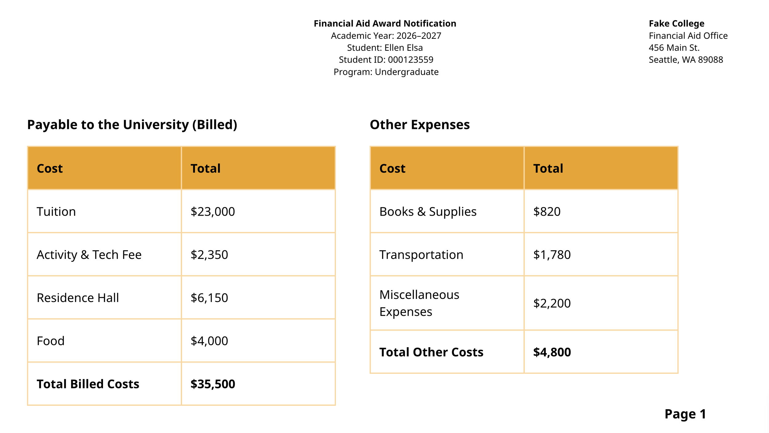 Example 3 - Fake College