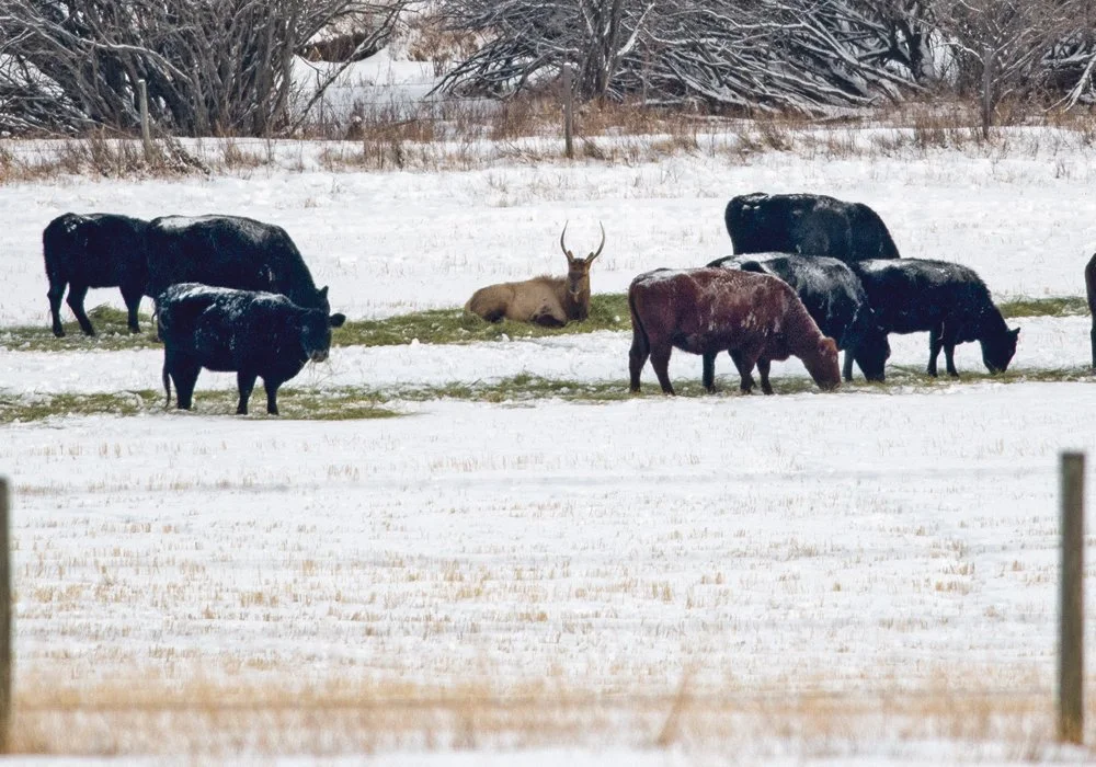 Montana FWP needs name change to reflect its real mission