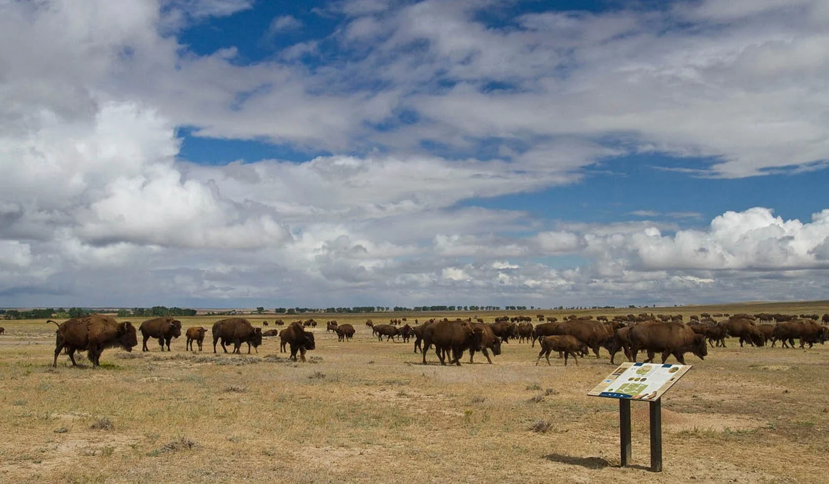 Top-Down Denial of American Prairie Leases Is COrrupt