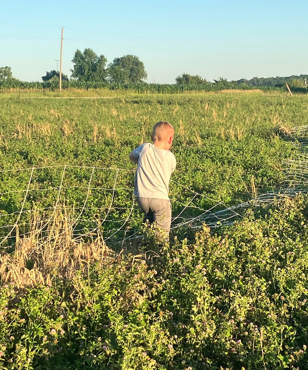 A young boy standing in a green field near a wire fence, with tall grass and wildflowers, facing away from the camera, during sunset.