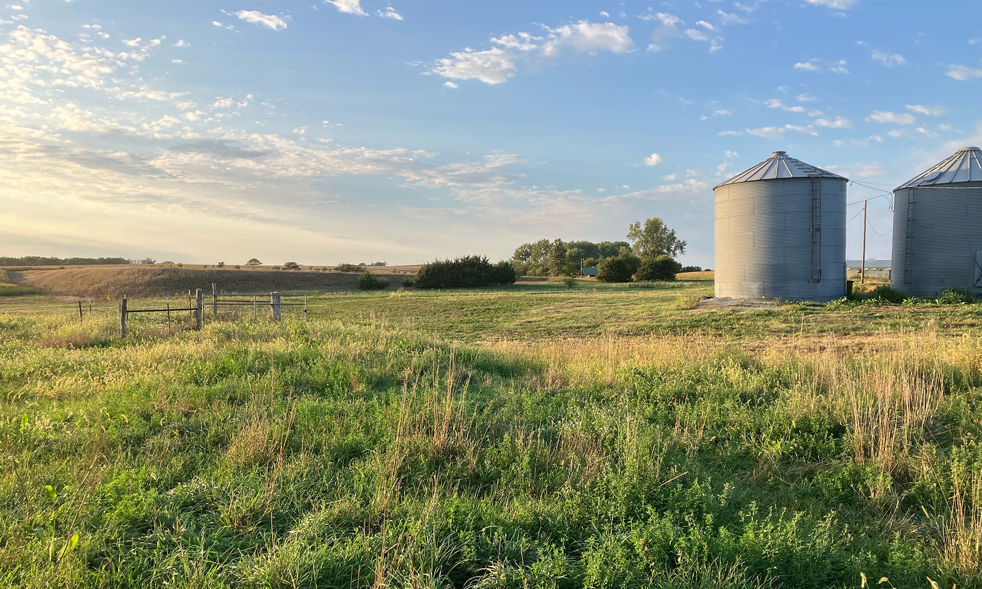 A rural landscape with green grass in the foreground, two silos on the right, a fence, trees, and open fields under a partly cloudy sky during late afternoon or early evening sunlight.