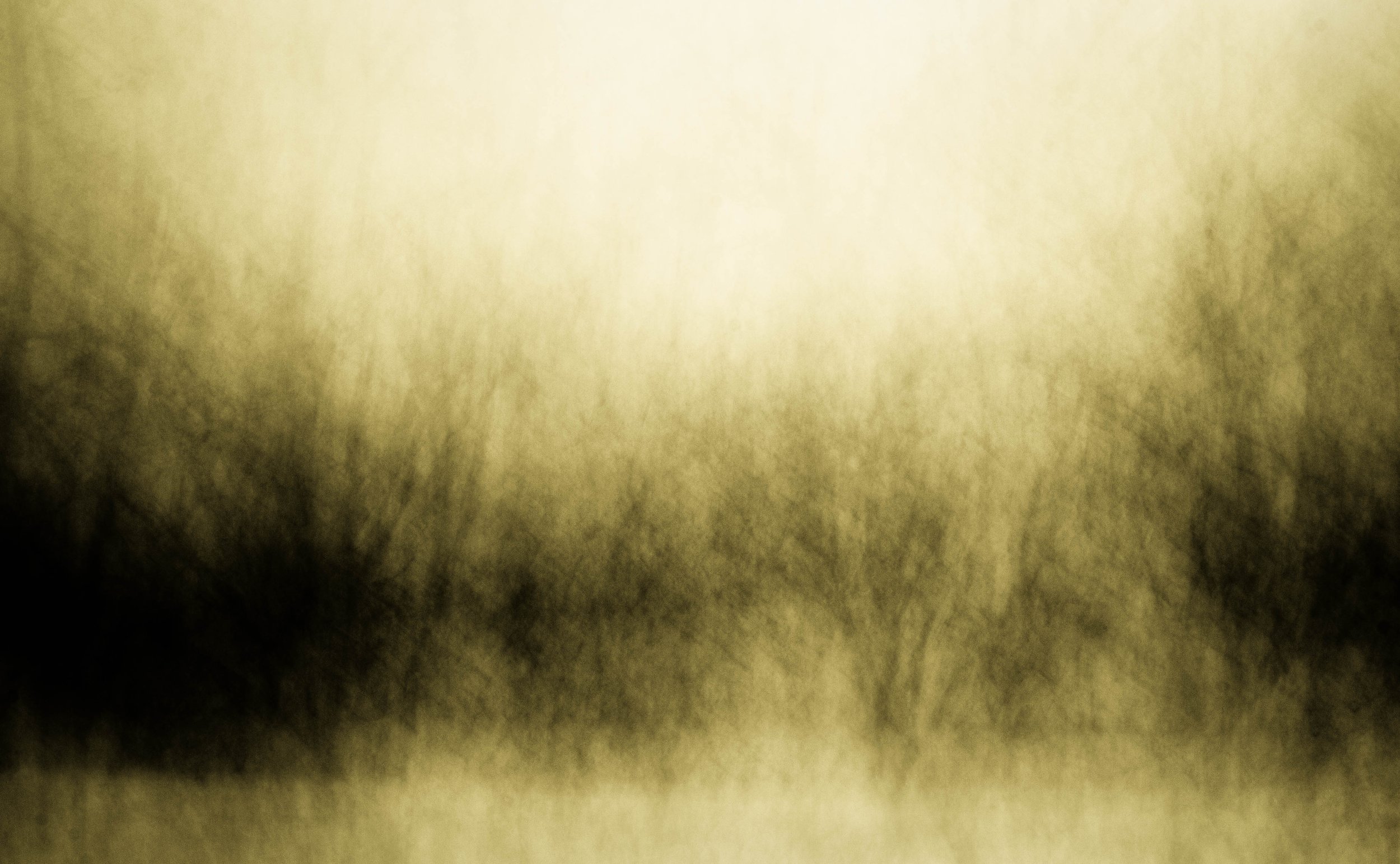 Trees, field 19