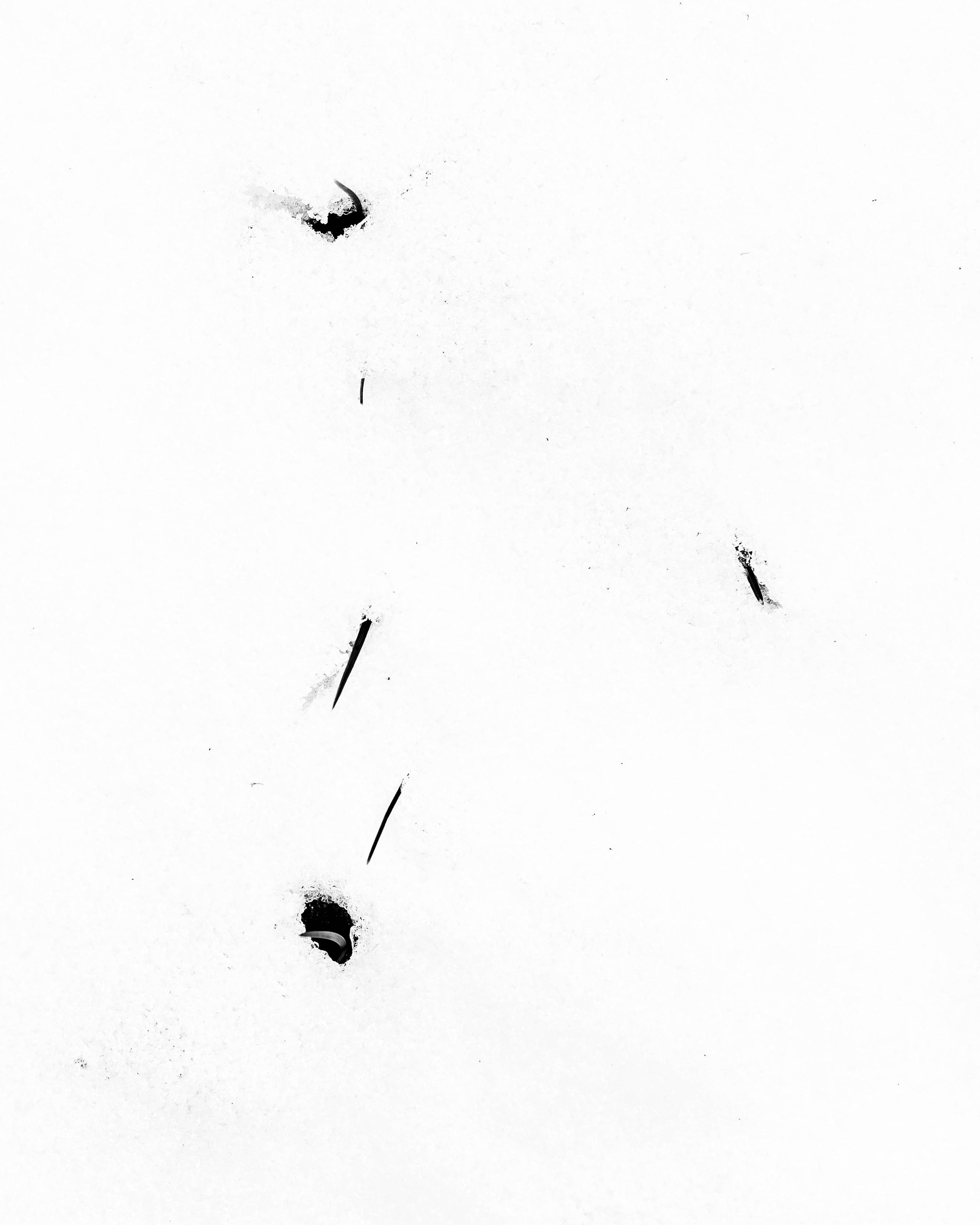 snow 5.jpg