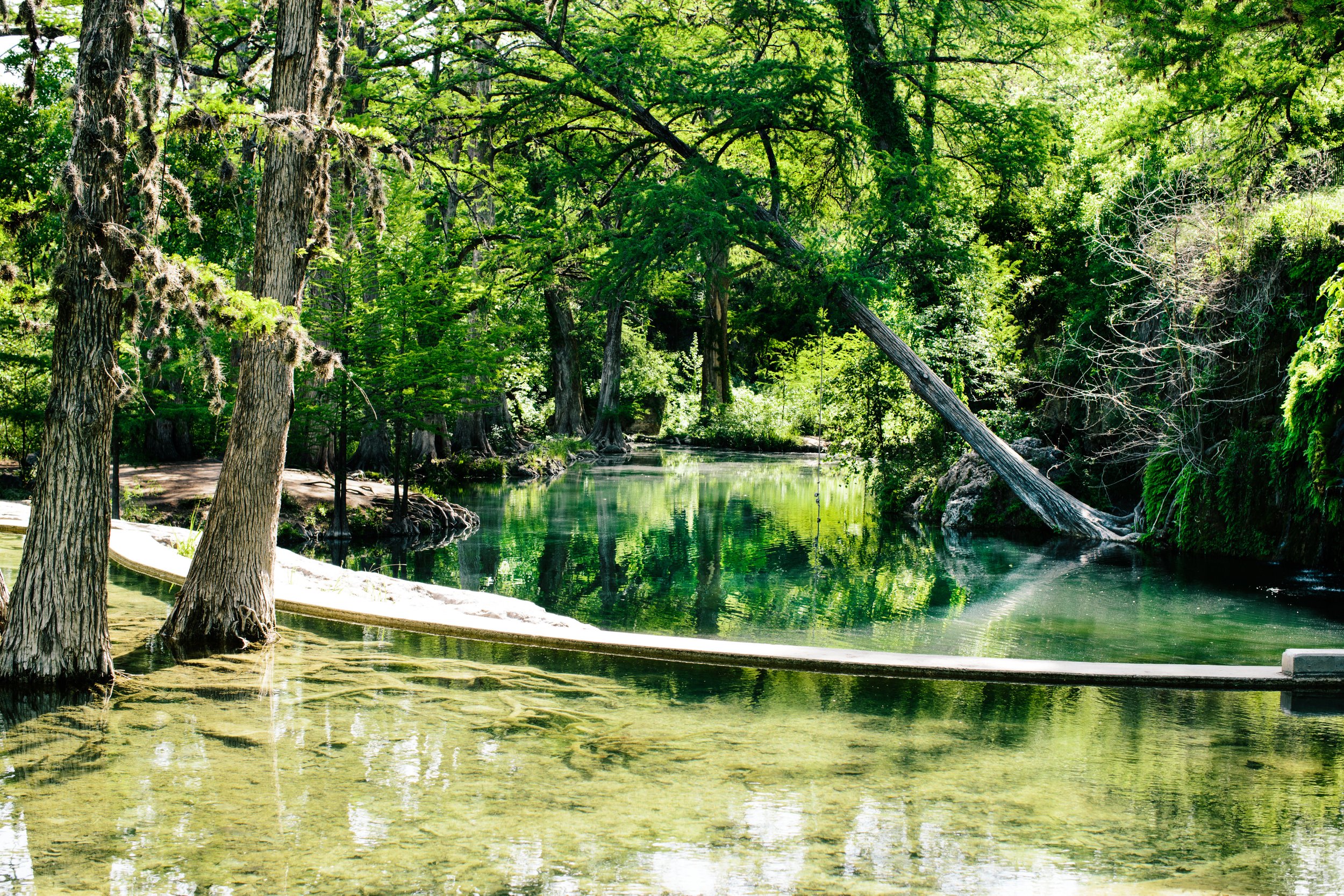 Scenic view of a tranquil forest river with clear water and lush green trees.