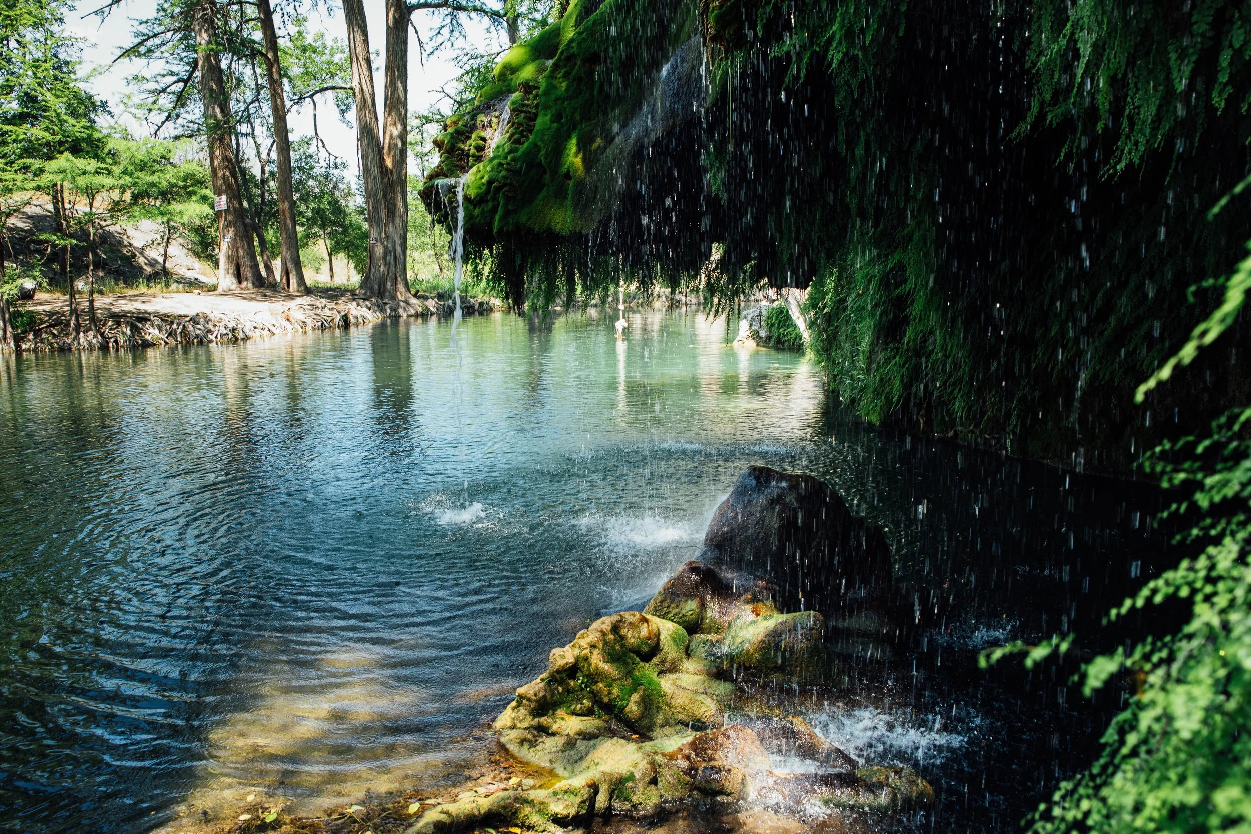 Natural spring with dripping water and moss-covered rocks beside a calm river with trees in the background.