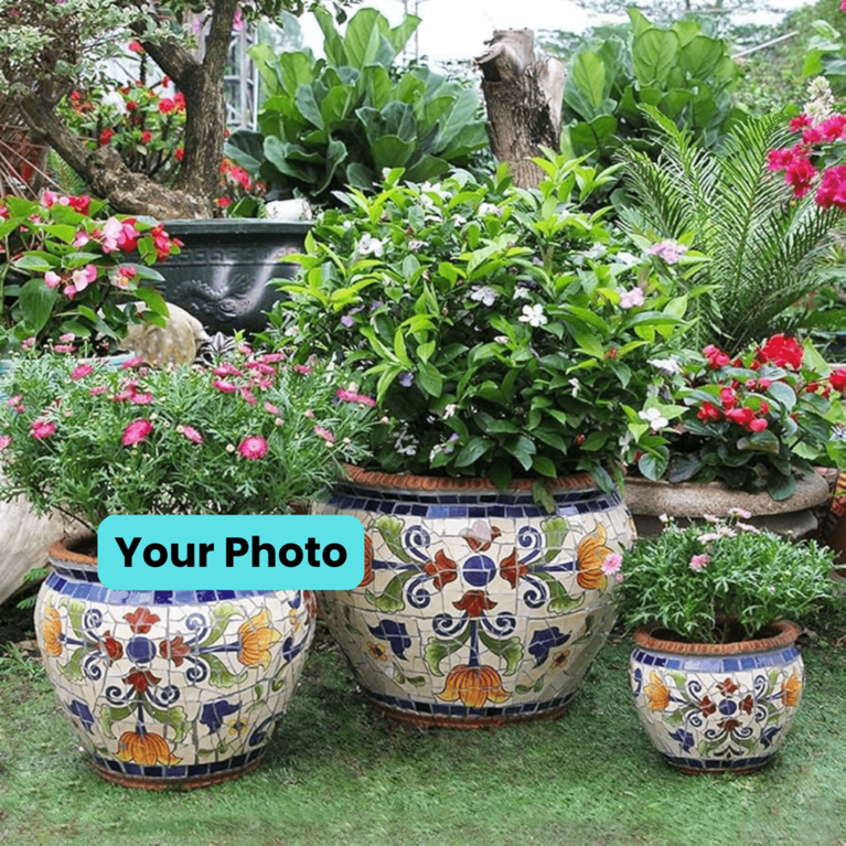 Photo of flowers pots
