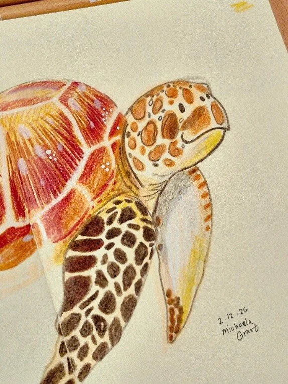 Finished this guy and his little friend too thanks to the help of @beccahallillustration YouTube tutorial! I&rsquo;ve always had this whimsical, only use the details I like type of style, so it&rsquo;s great to watch someone else who&rsquo;s similar 