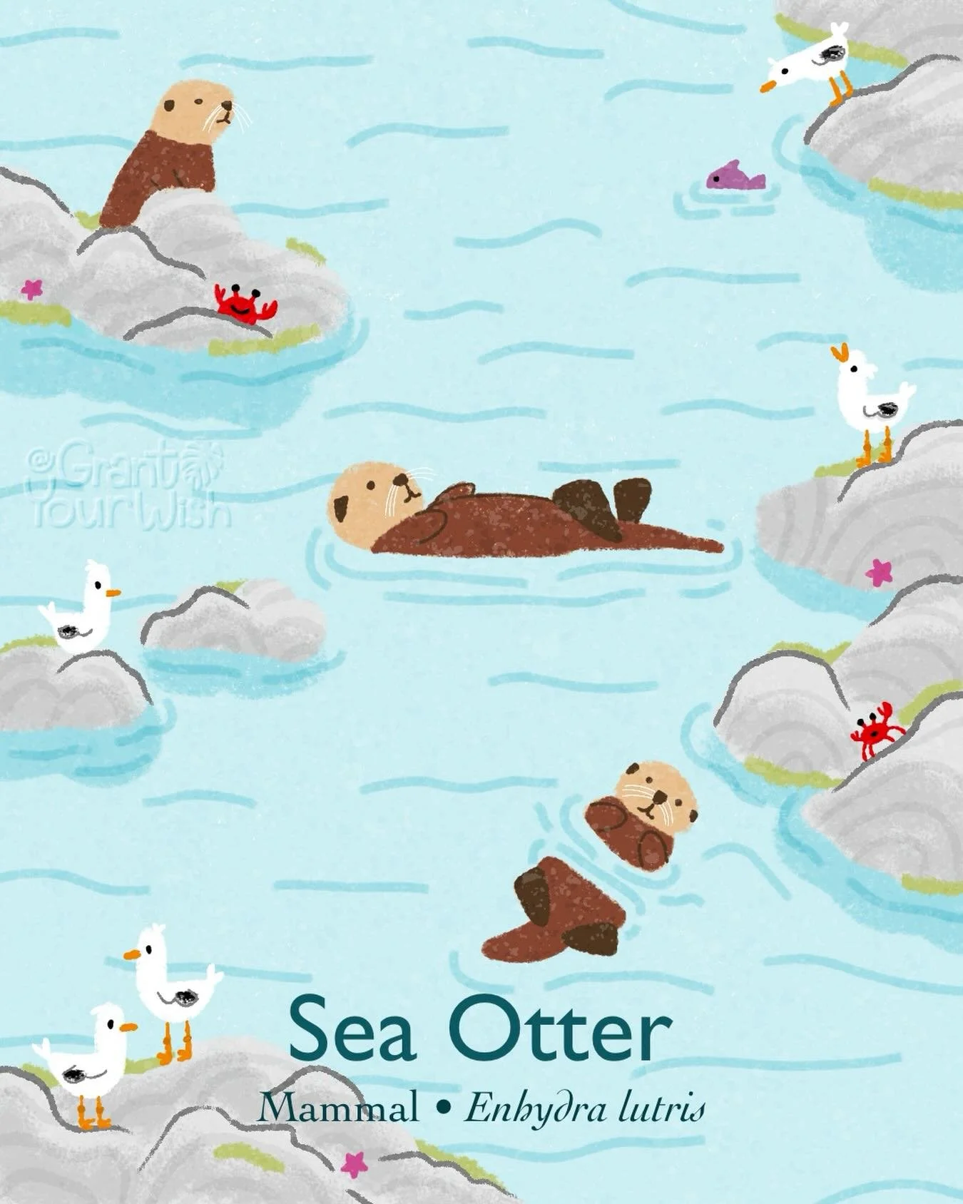 May 27 is World Otter day!
I am a day late, but every day is Otter day for me. Otters are my top favorite, period. I own otter slippers. However, otter then being adorable, their numbers are dropping and they play an important role in costal ecosyste
