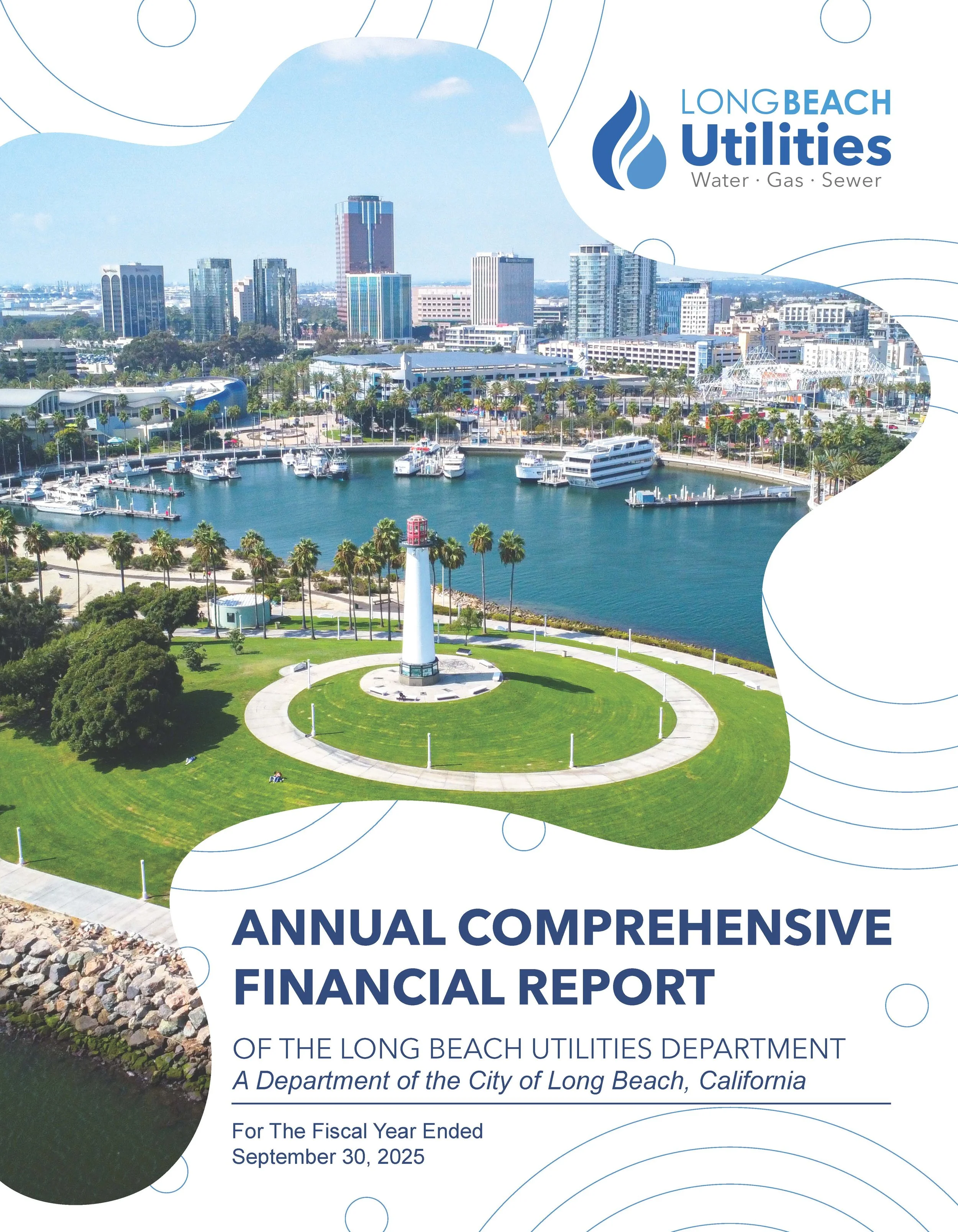 3 Option Financial Report_Page_3.jpg