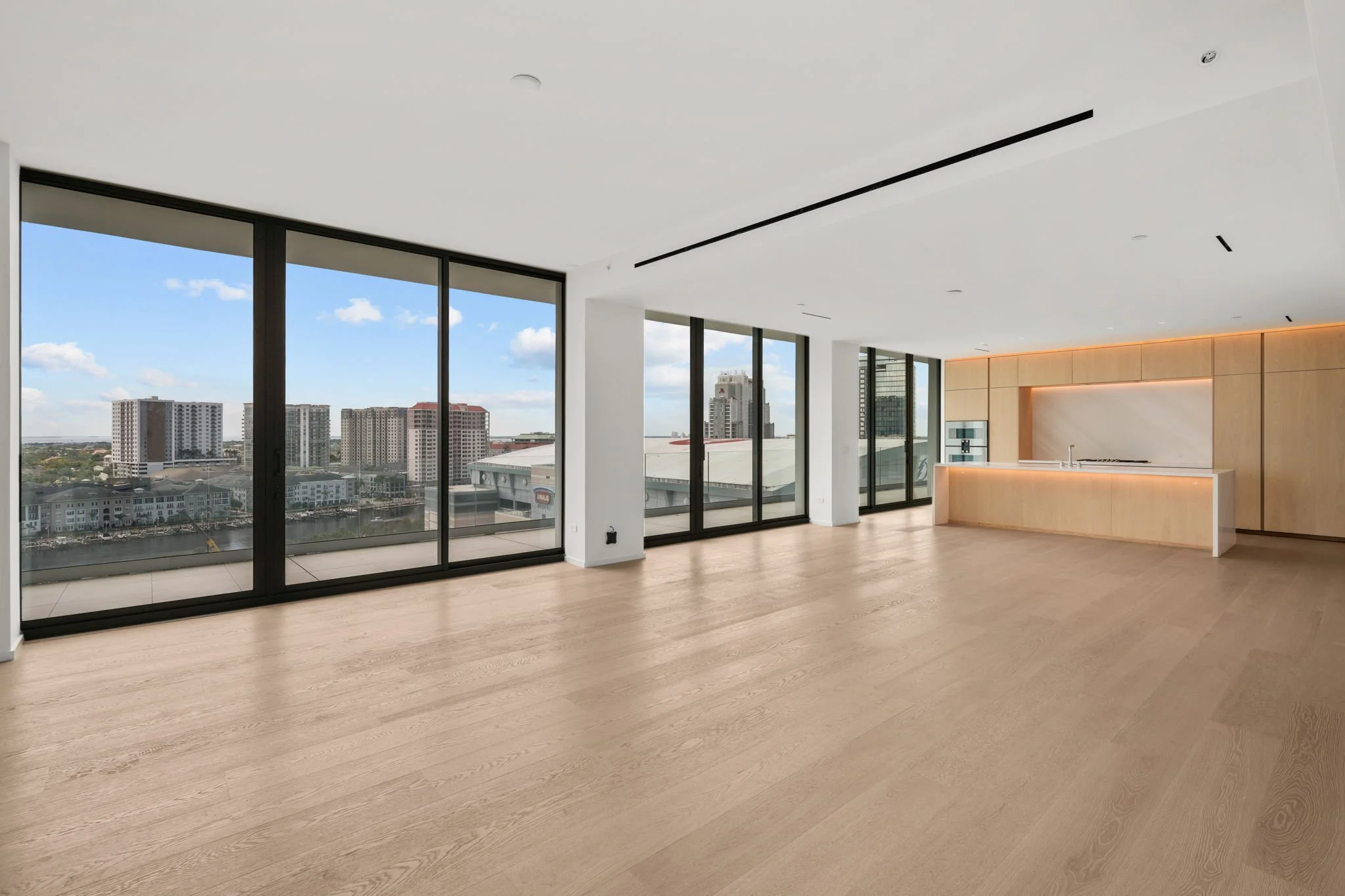 Tampa Edition 1001 Luxury Condo (2).jpg