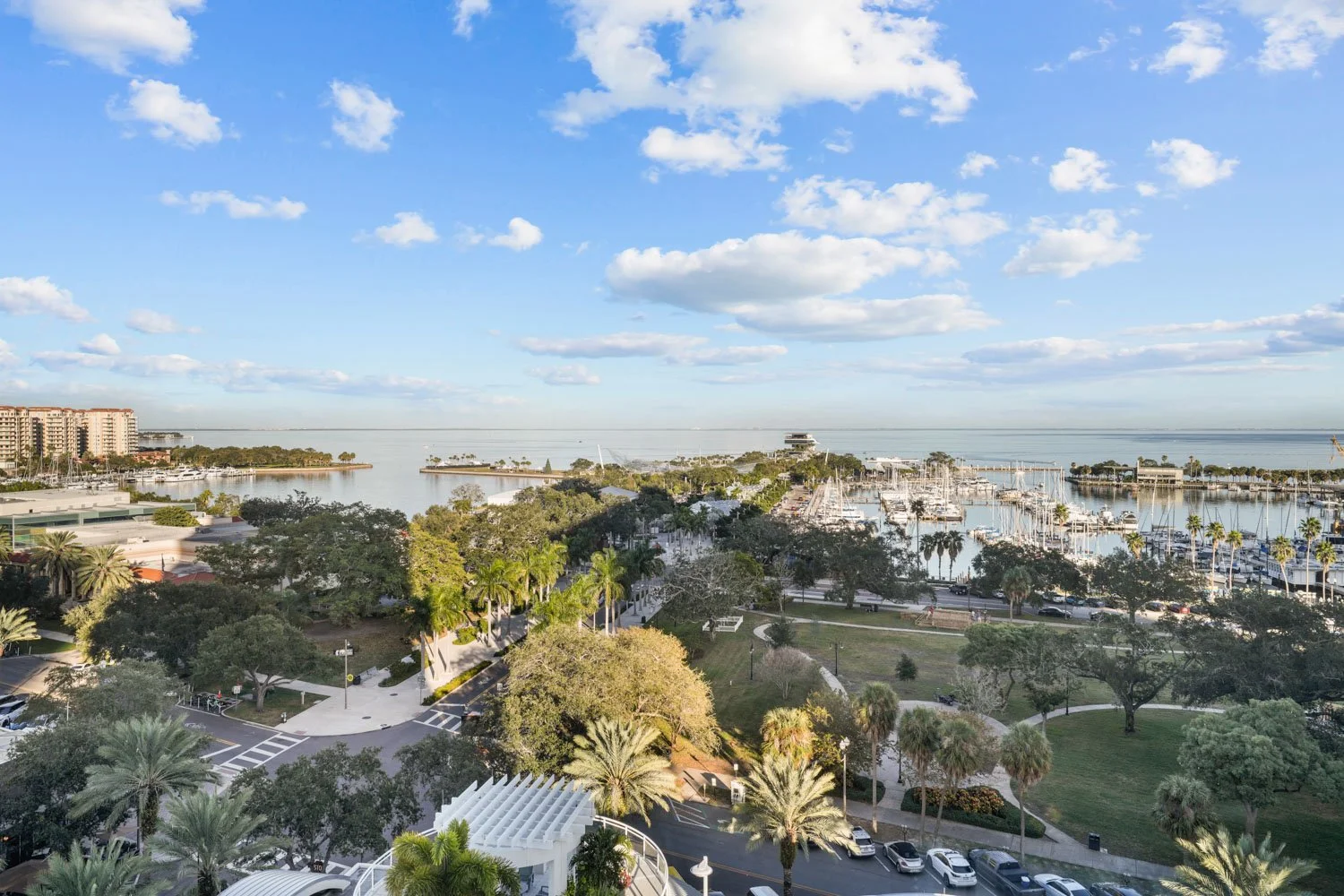 Ovation St Pete Views 901 Tampa Listing Lab (9).jpg