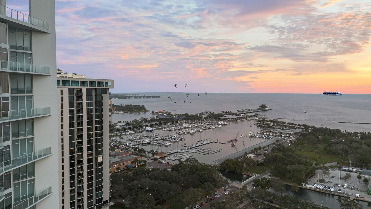 Drone Signature Place St Pete Condo (16).jpg