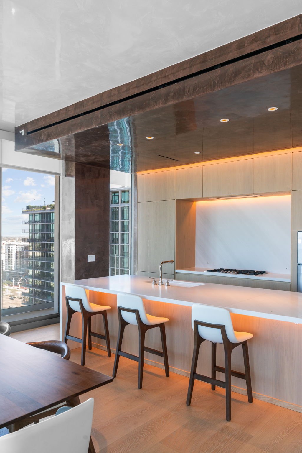 Tampa Edition Luxury Real Estate 1803 (20).jpg