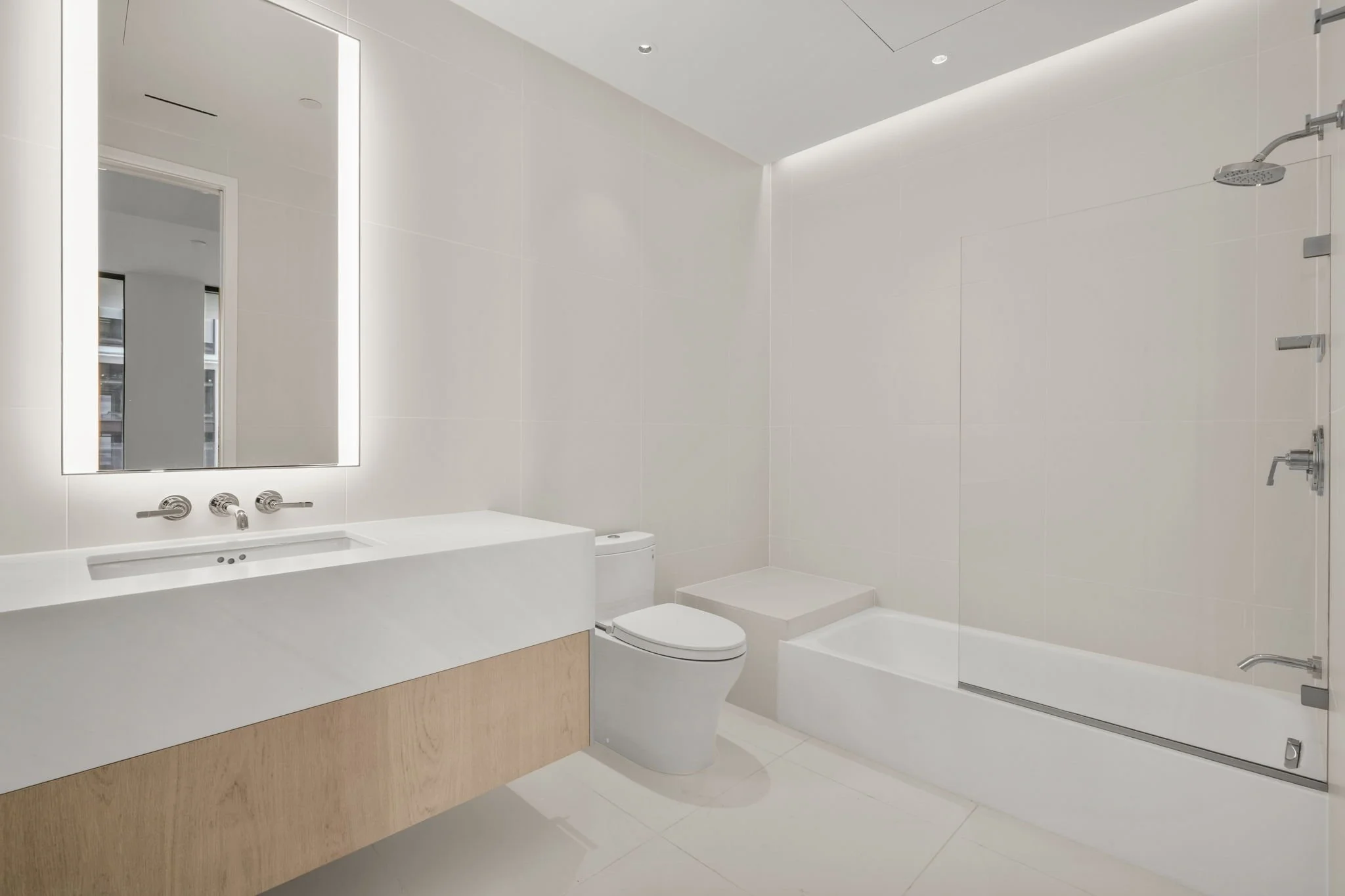 Tampa Edition 1001 Luxury Condo (12).jpg