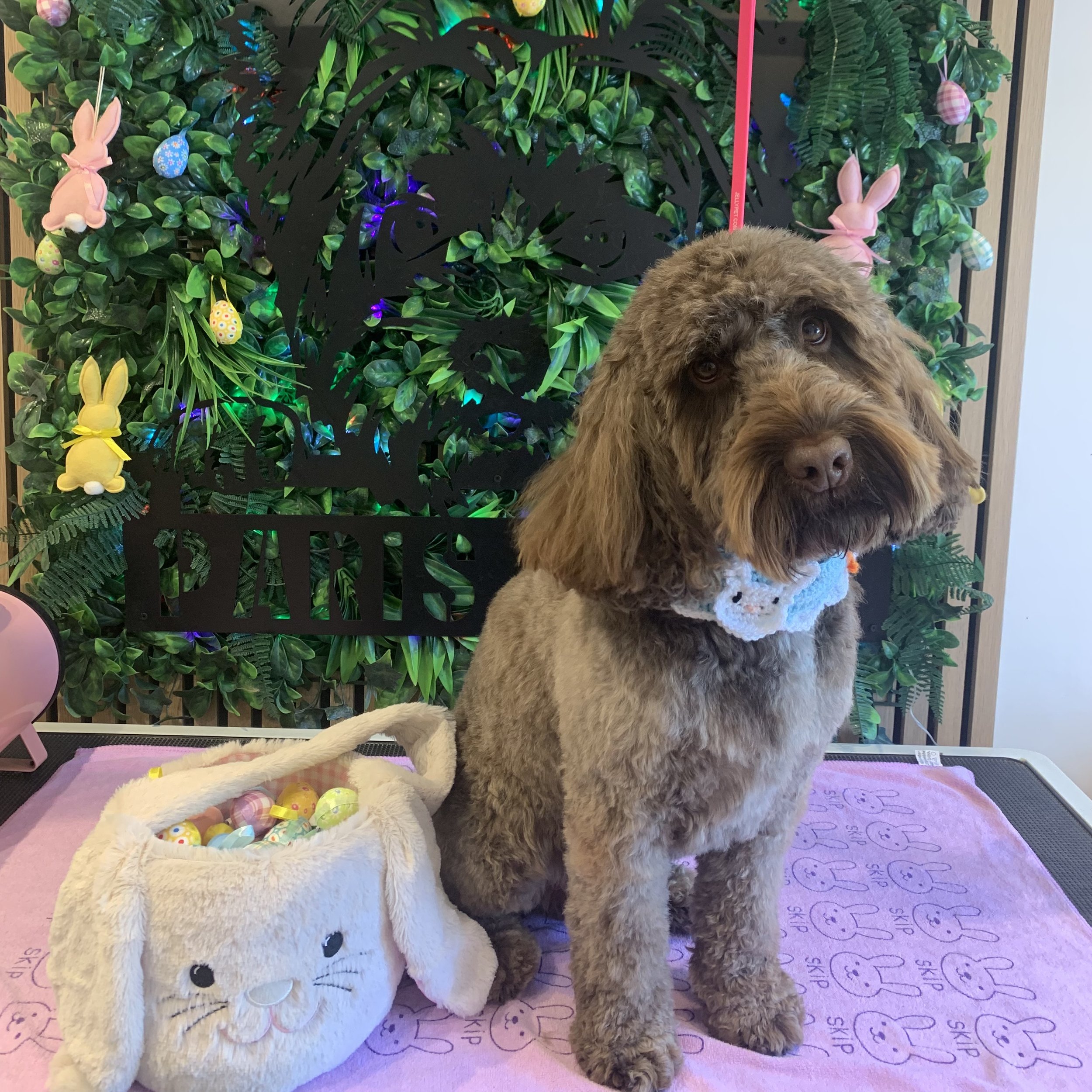 Ernie - Full Groom