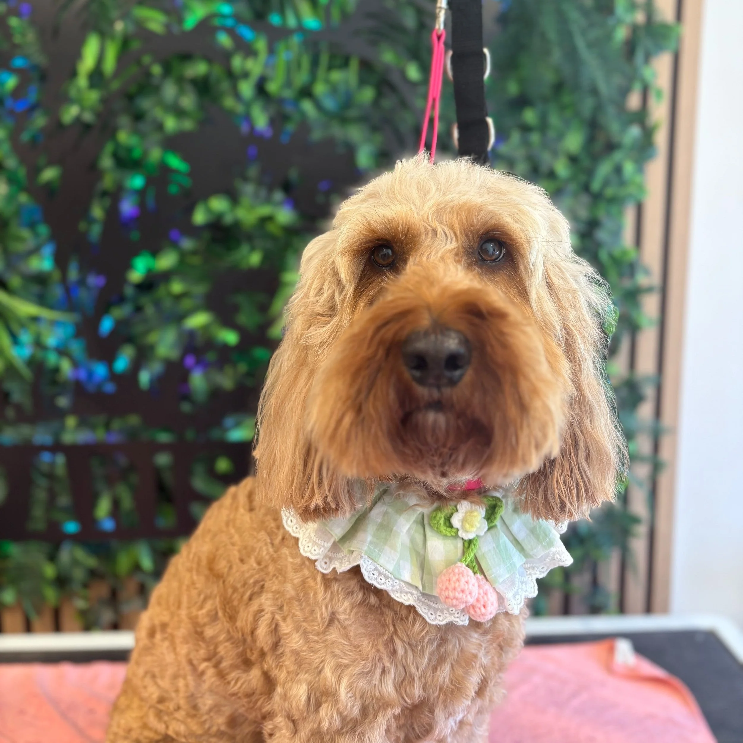 Bailey - Bath, Brush & Tidy