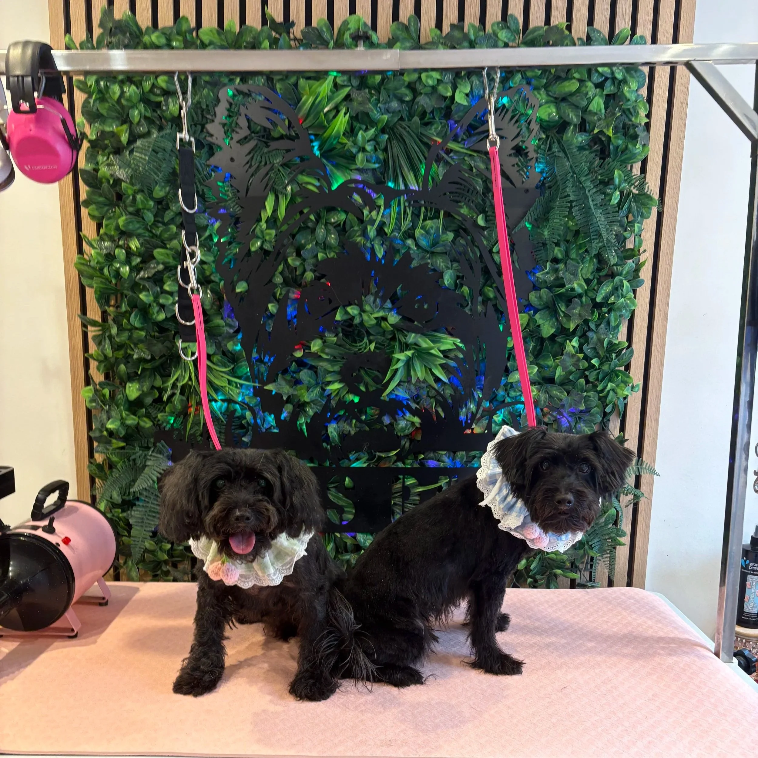 Oscar & Charlie - Full Groom
