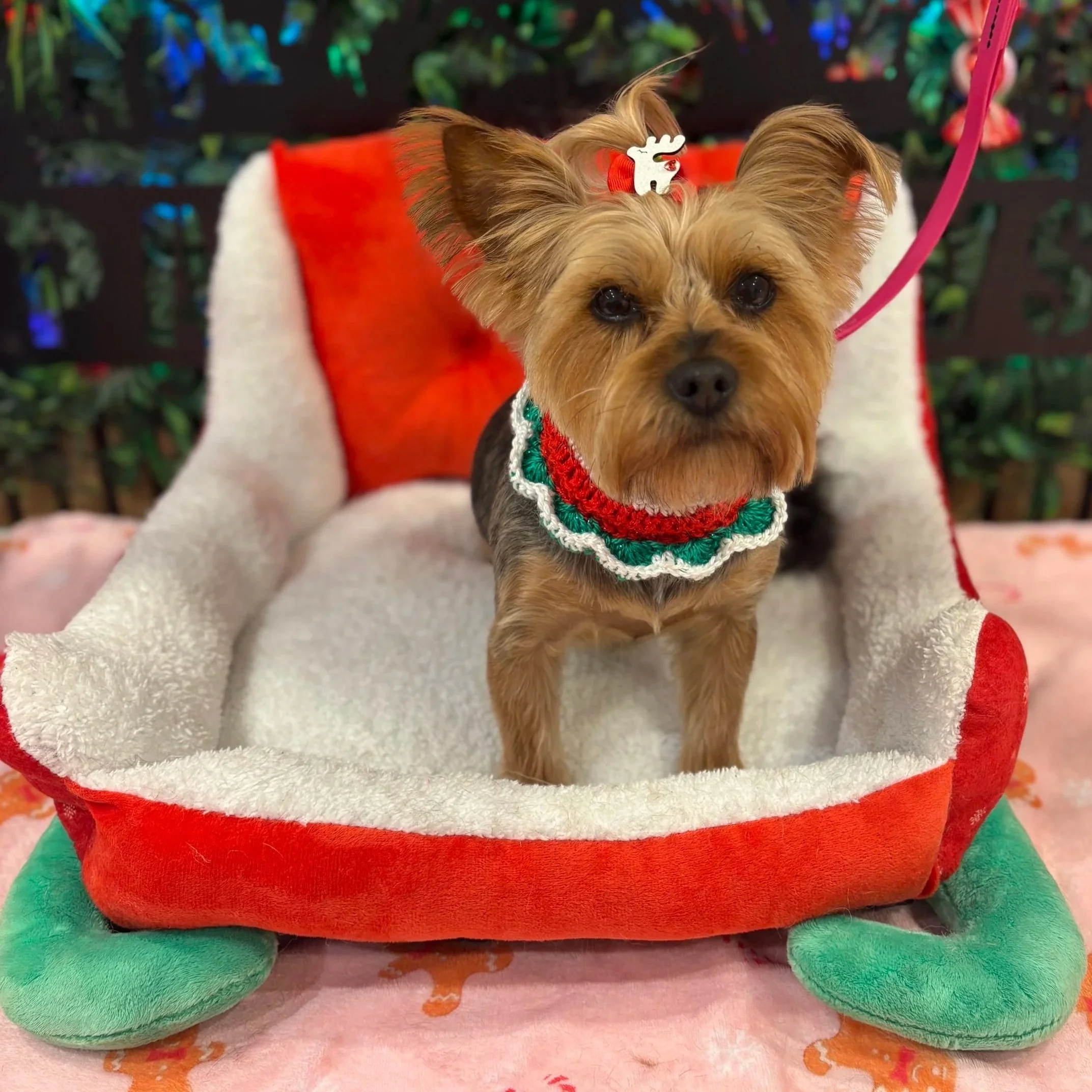 Audrey-Paris - Full Groom