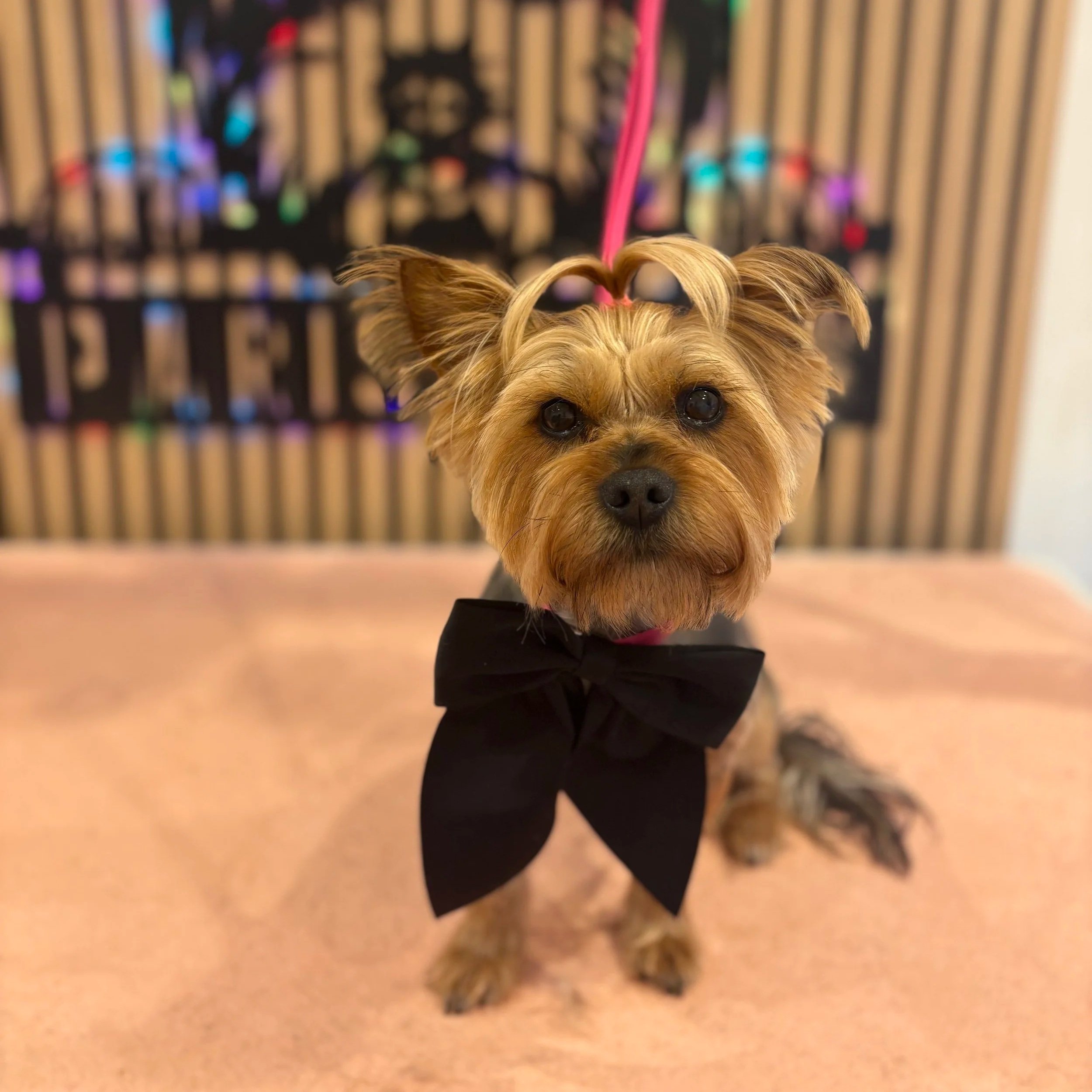 Audrey-Paris - Bath & Tidy