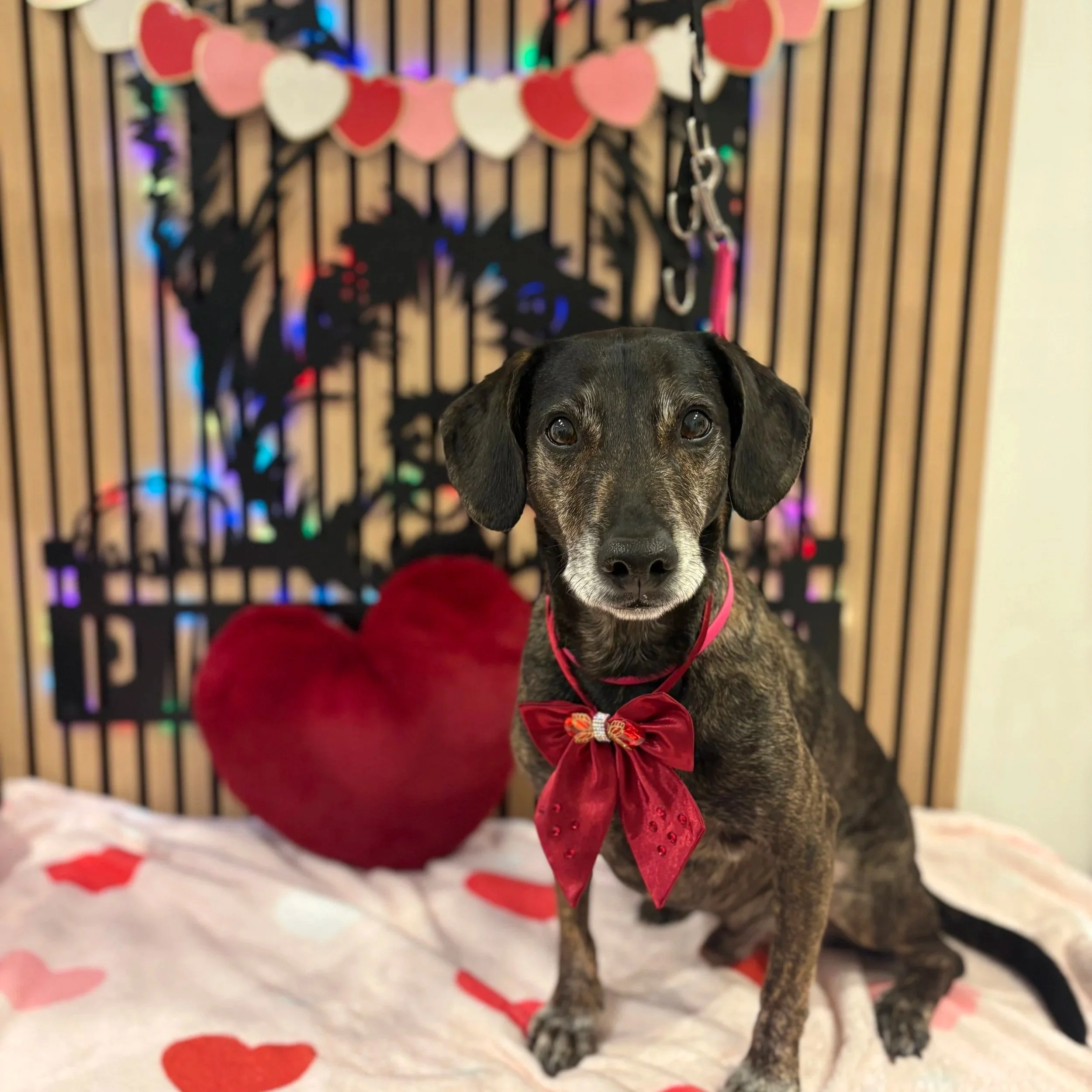 Kaishi - Bath & Tidy