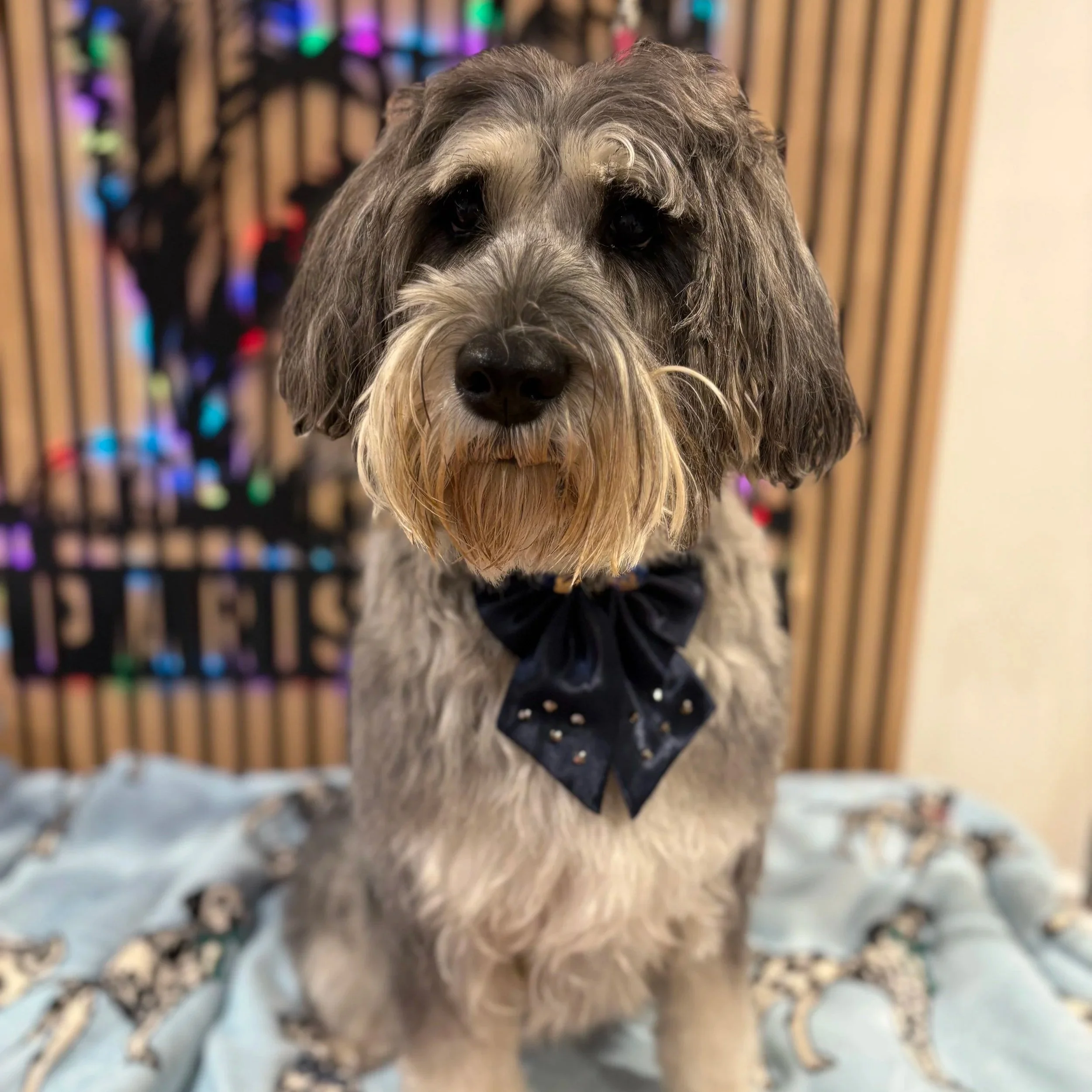 Winnie - Bath & Tidy