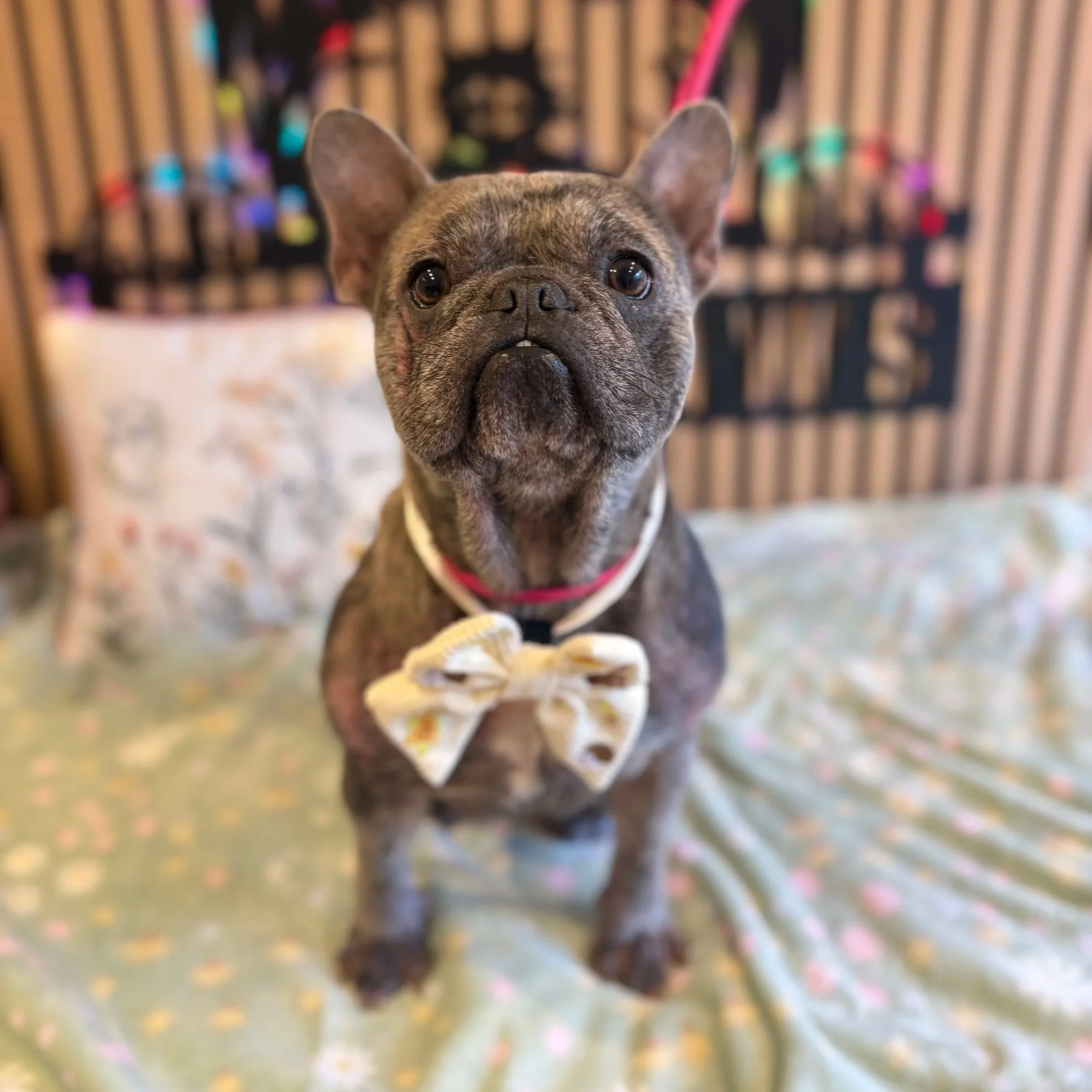 Minnie - Bath & Tidy