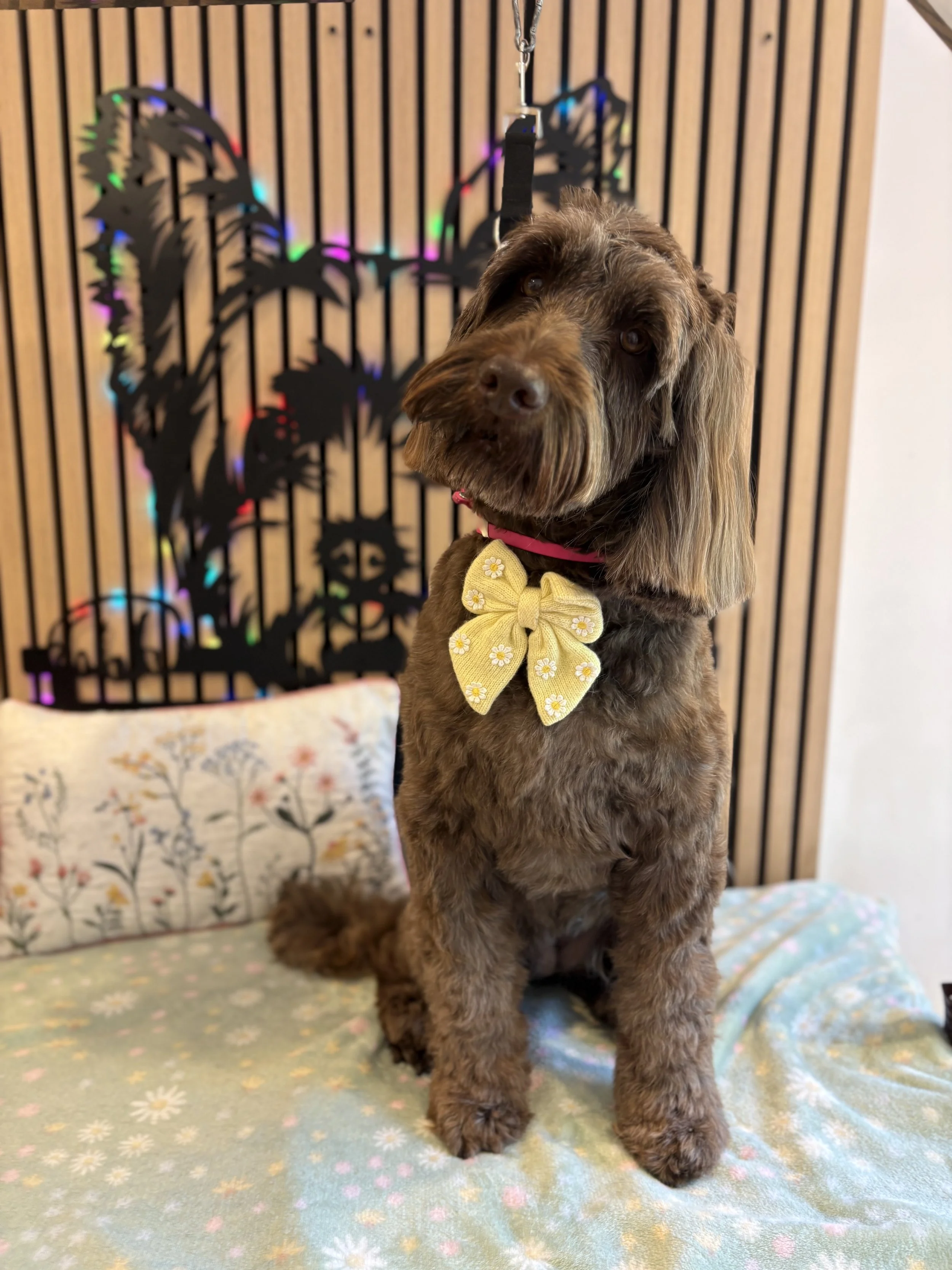 Ruby - Bath & Blowdry