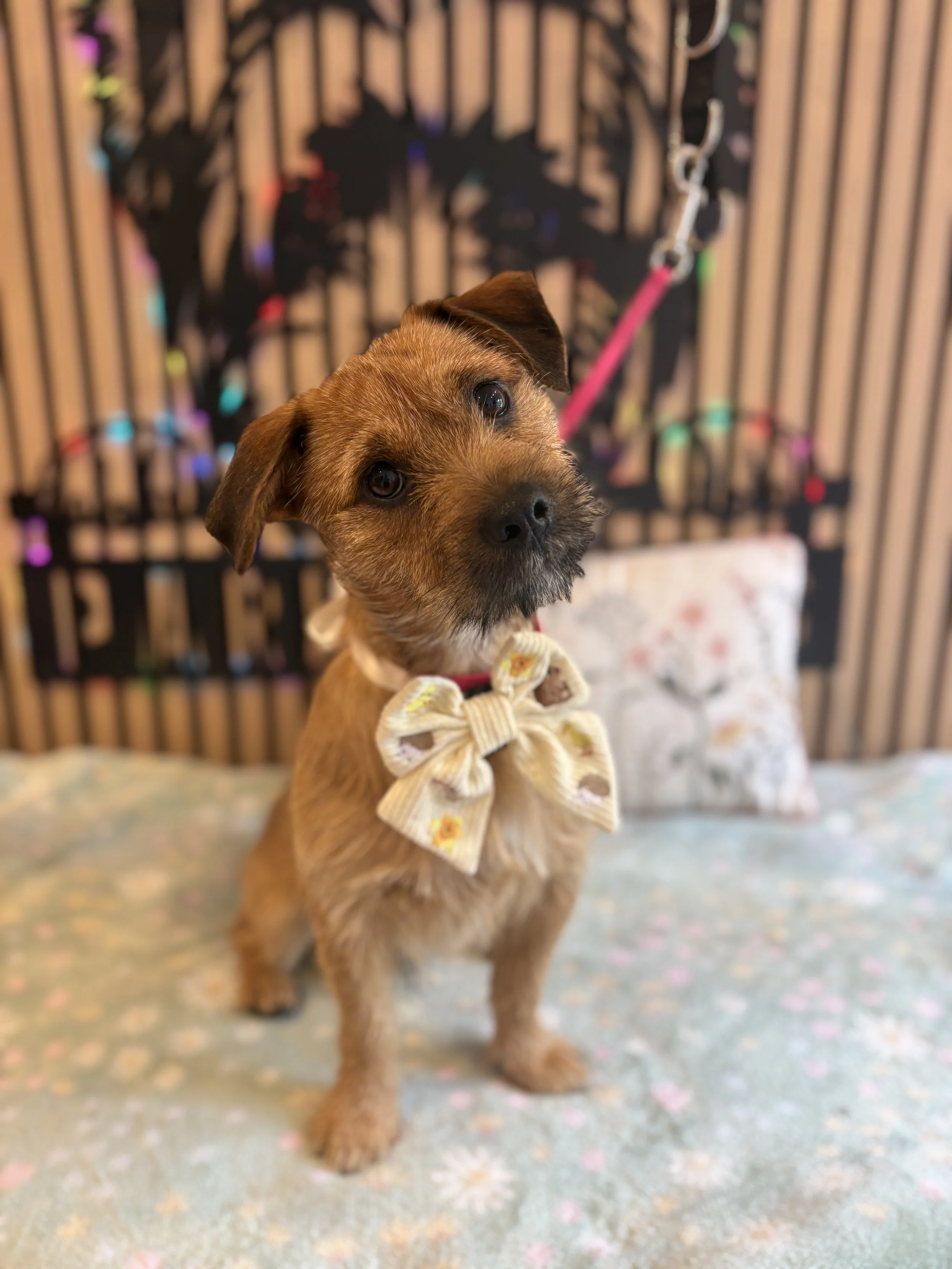 Lenny - Bath & Tidy