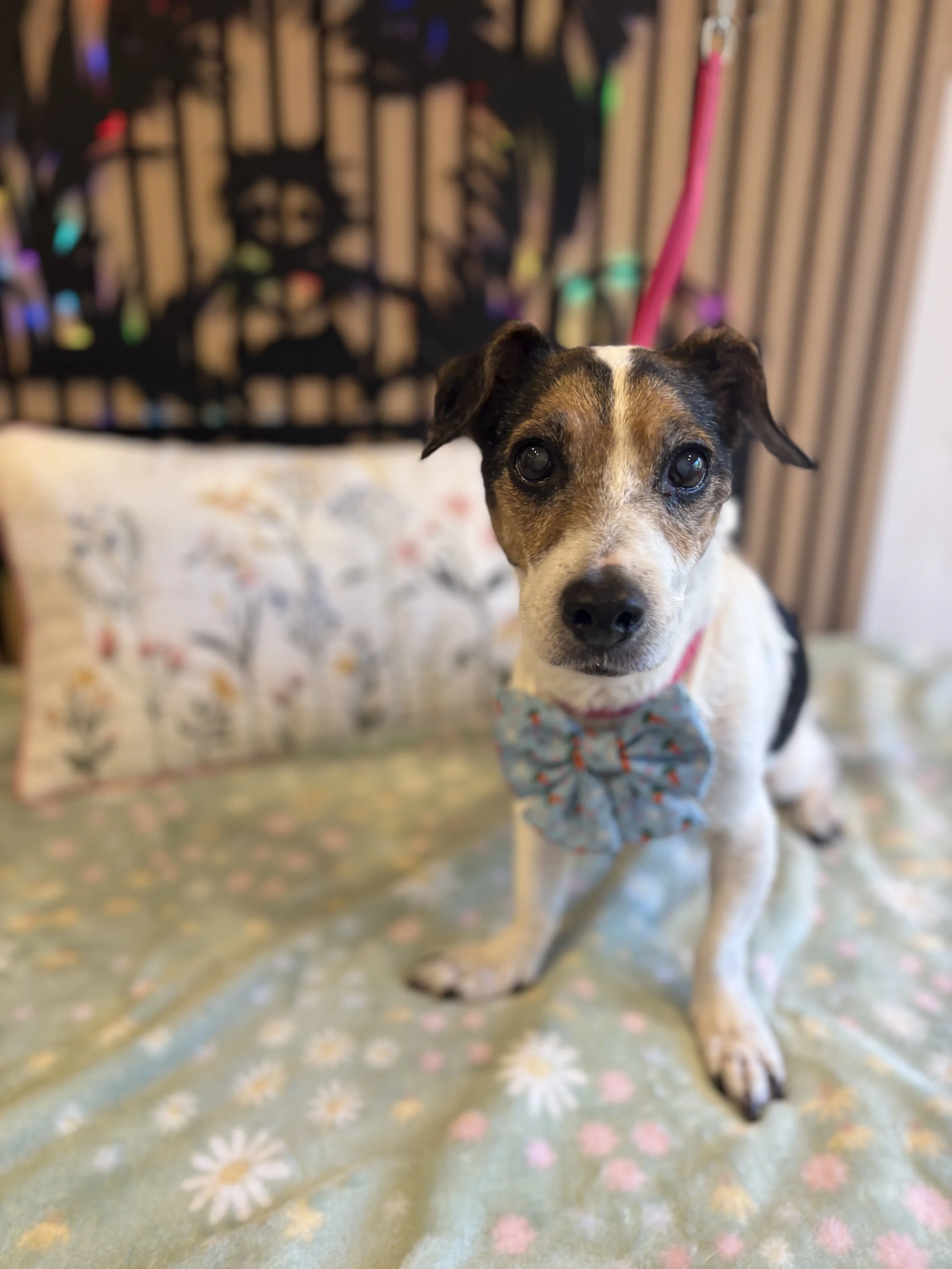 Junior - Bath & Tidy