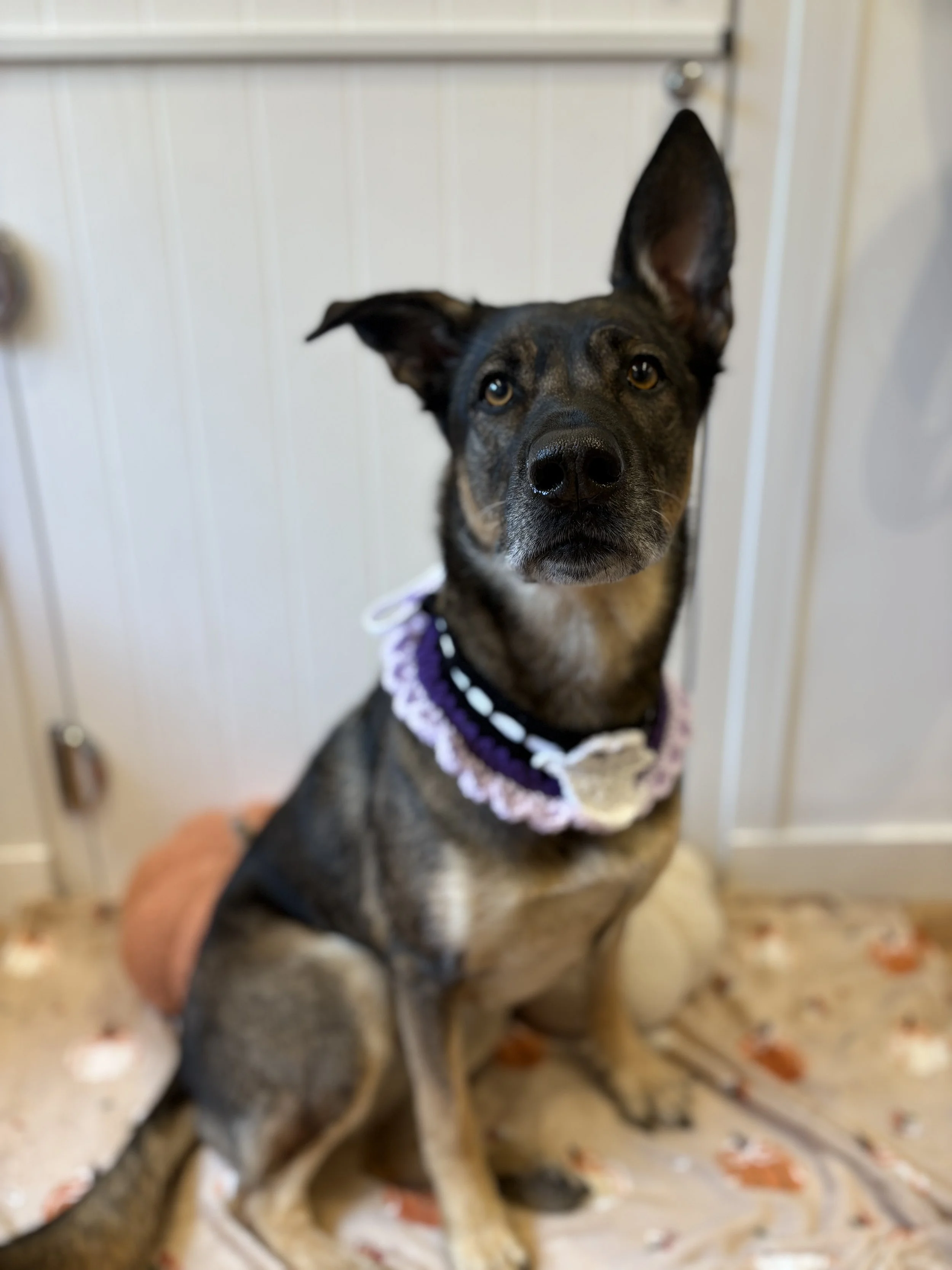 Leela - Full Groom