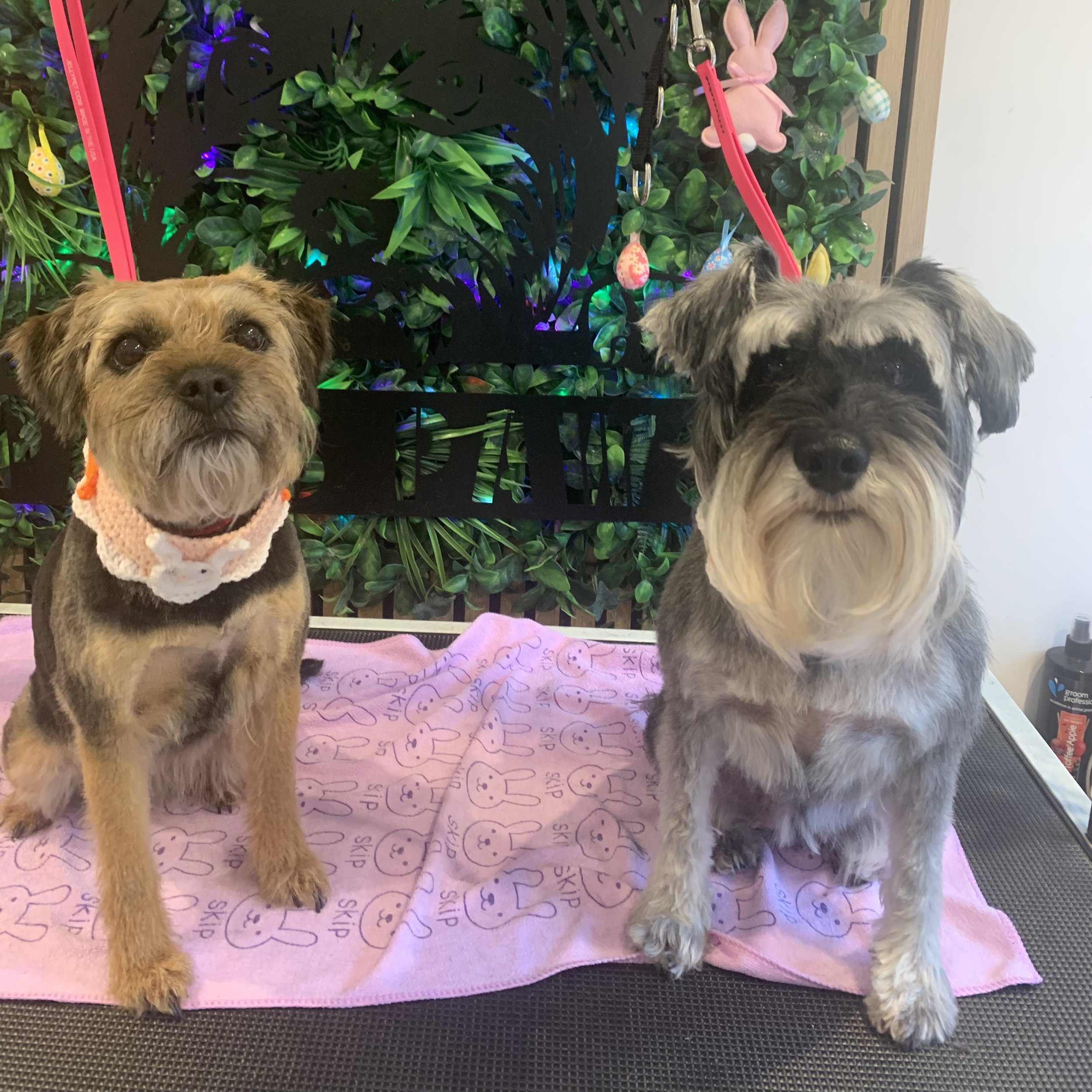 Raven & Storm - Full Groom