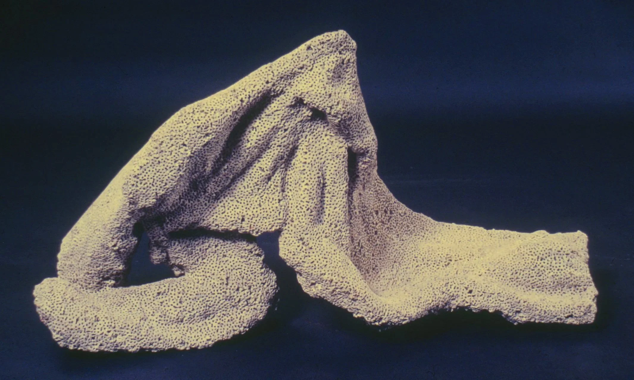 Night Gown, 1984, concrete and cotton, 30 x 46 x 15 "