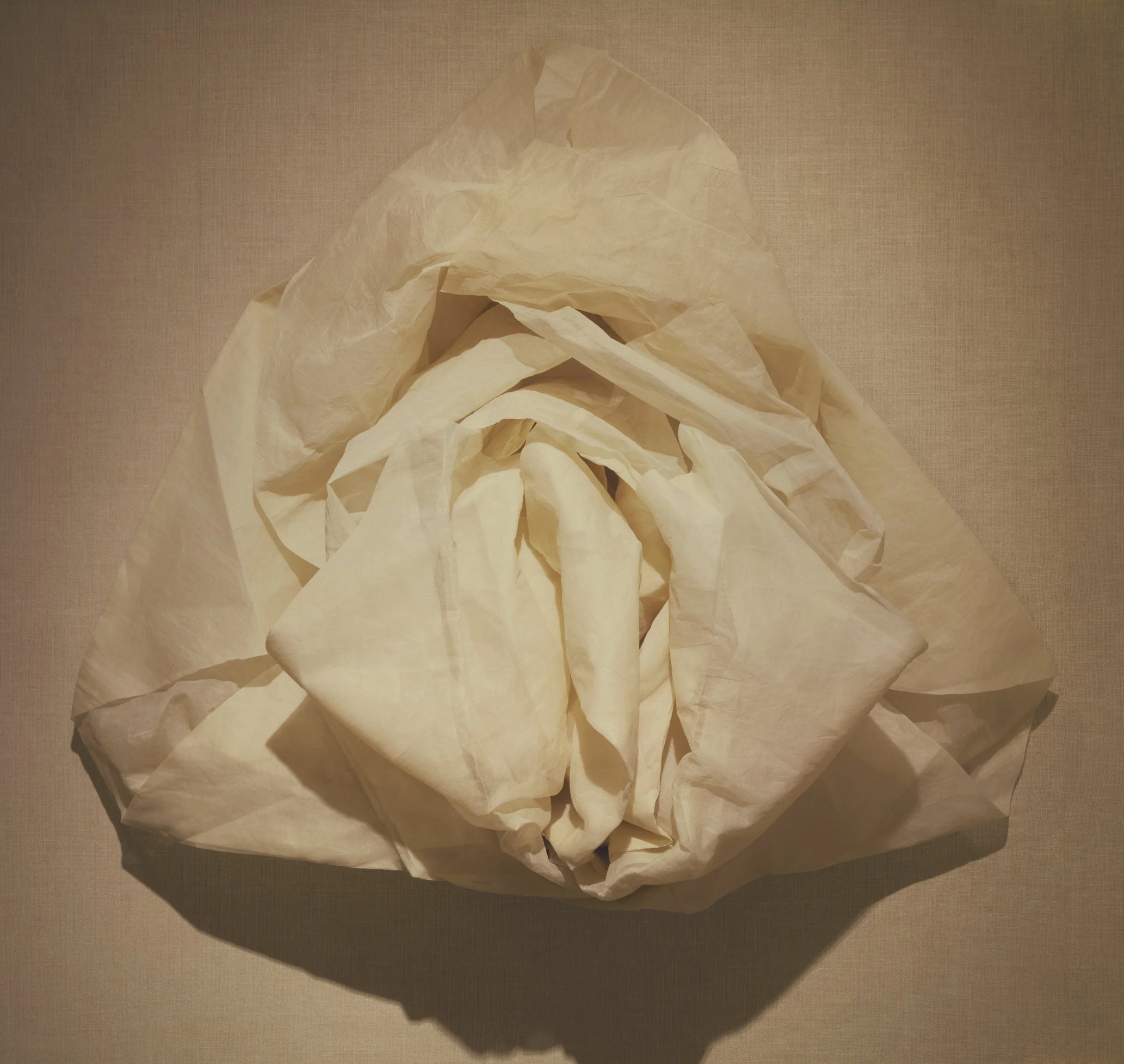Bishop's Rose, 1980, organdy, 25"h x 38" w x 18"d
