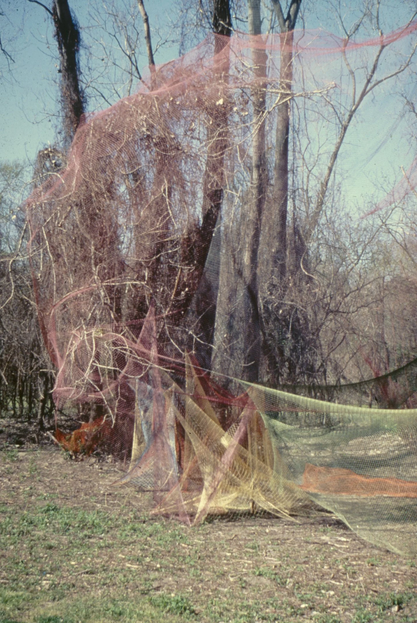 Untitled-4.jpg