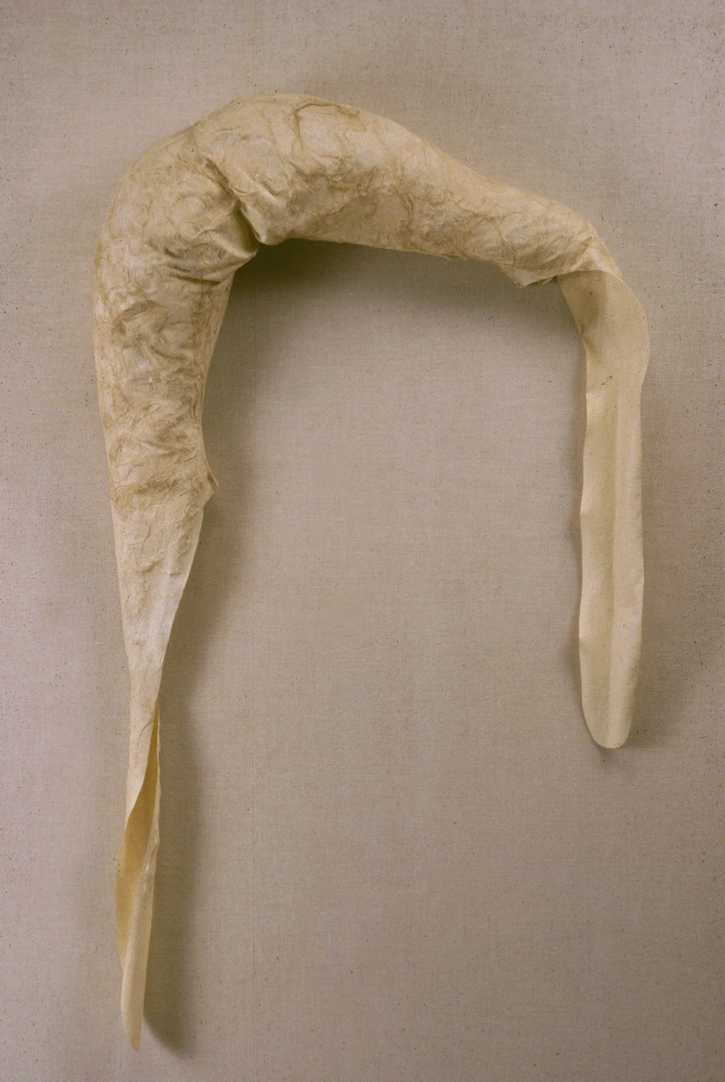 Positive, 1983, celastic and flax, 32 x 22 x 8" 