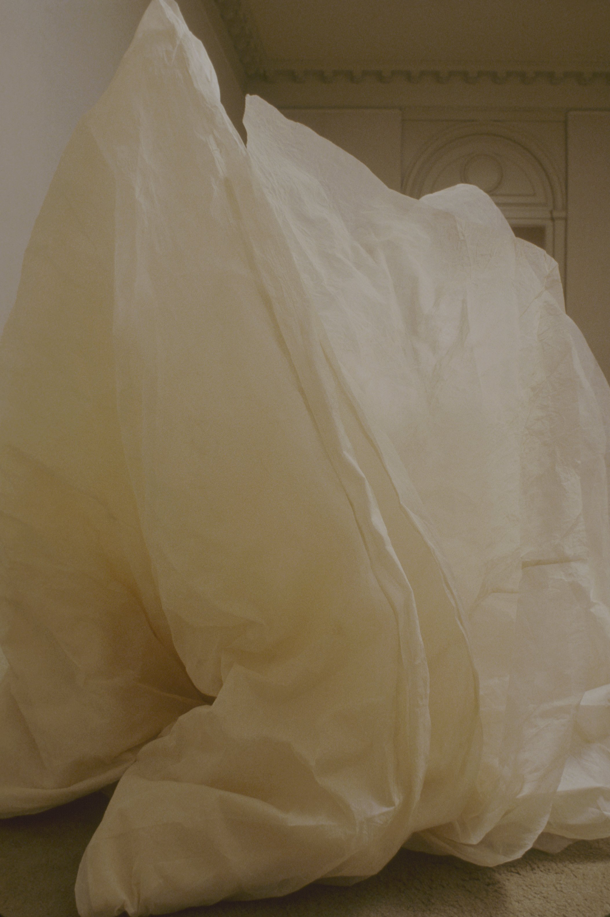 Cockscomb, 1980, organdy, 5'h x 3.5'w  x  2.5'd