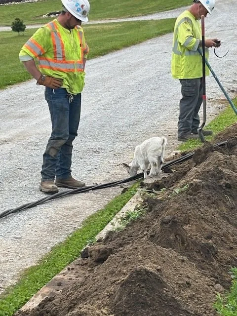 On today&rsquo;s job site in Indiana, we had an unexpected visitor who still needed to &ldquo;sign&rdquo; the daily THA.

Even when the guest is four-legged, our team treats the task hazard analysis as non-negotiable: everyone and everything on site 
