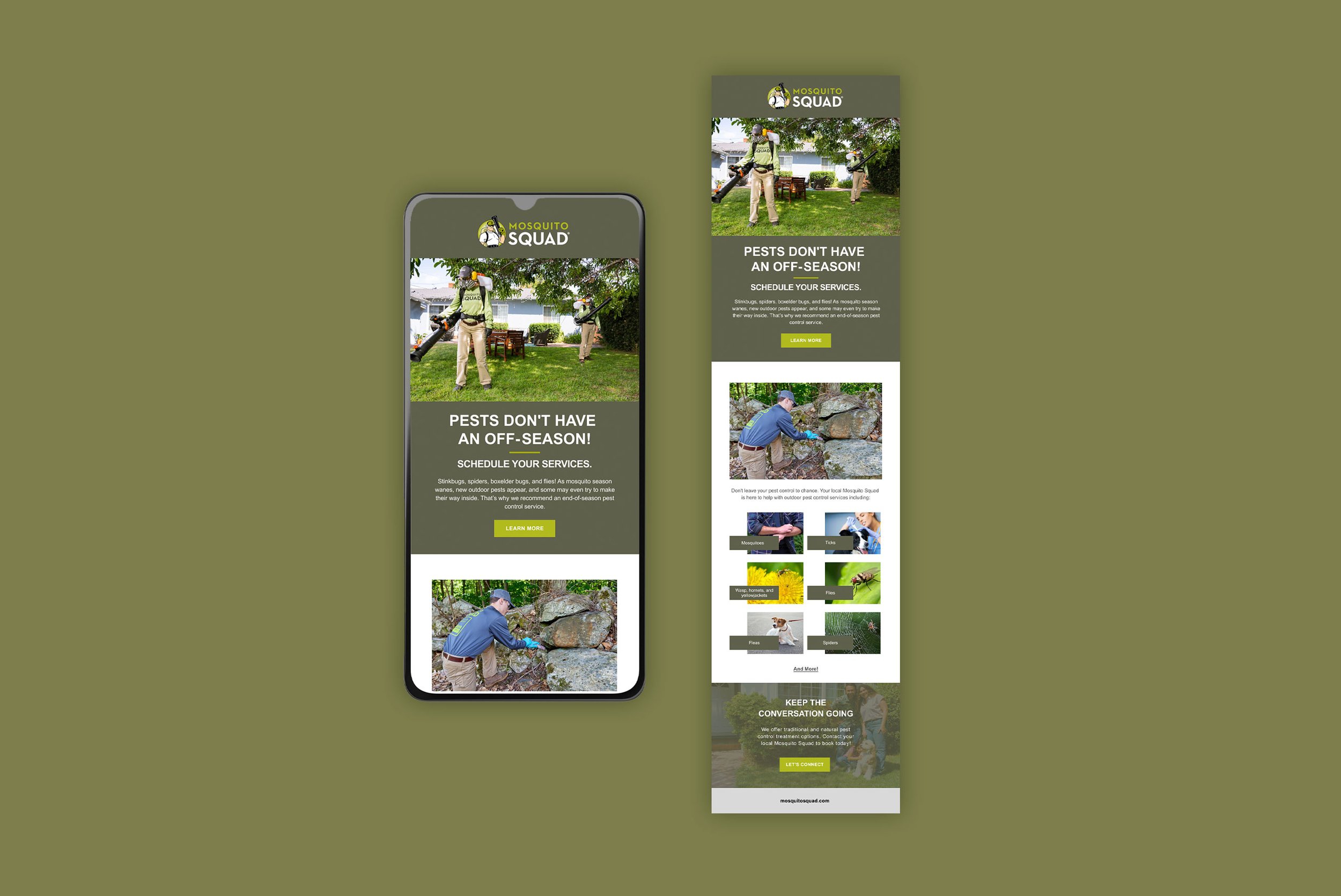 Email-Campaign-MSQ.jpg