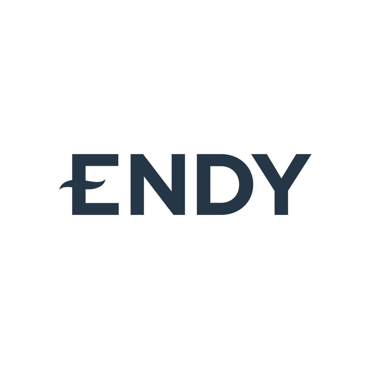 ENDY_LOGO.png
