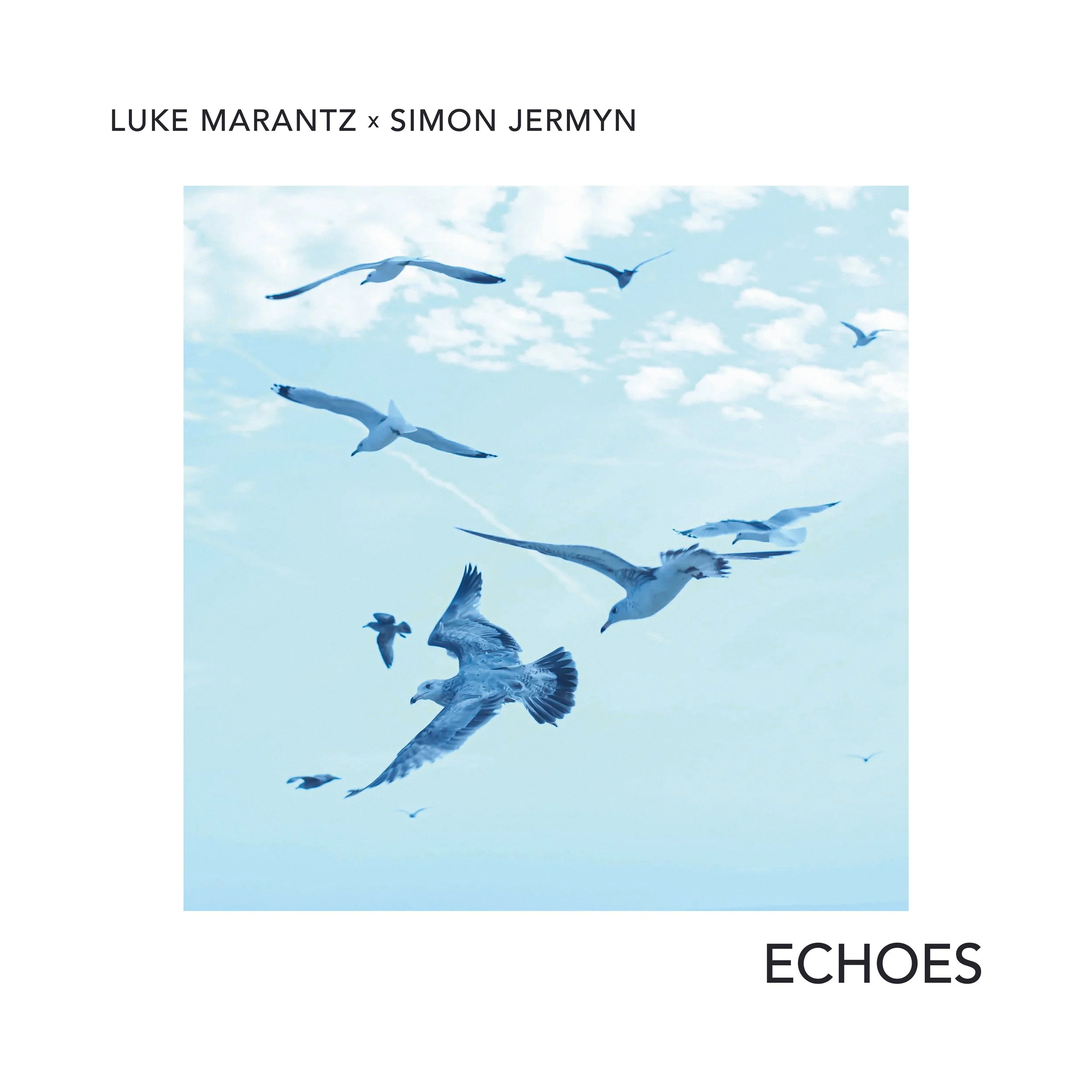 Luke Marantz x Simon Jermyn - Echoes_Print.jpg
