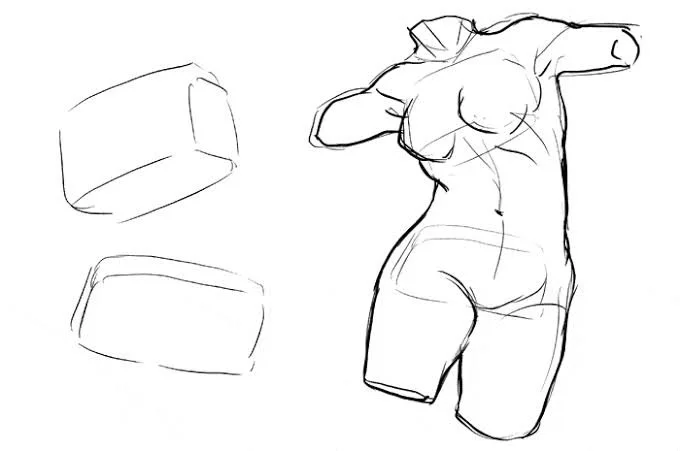 Shapes of Movement 