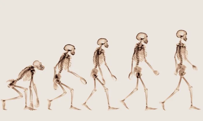 Rage and Evolution 