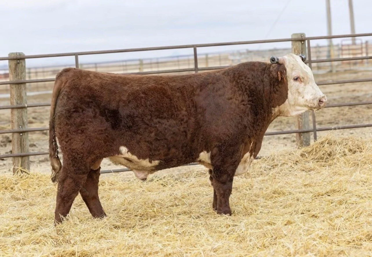 HH ADVANCE 4027M