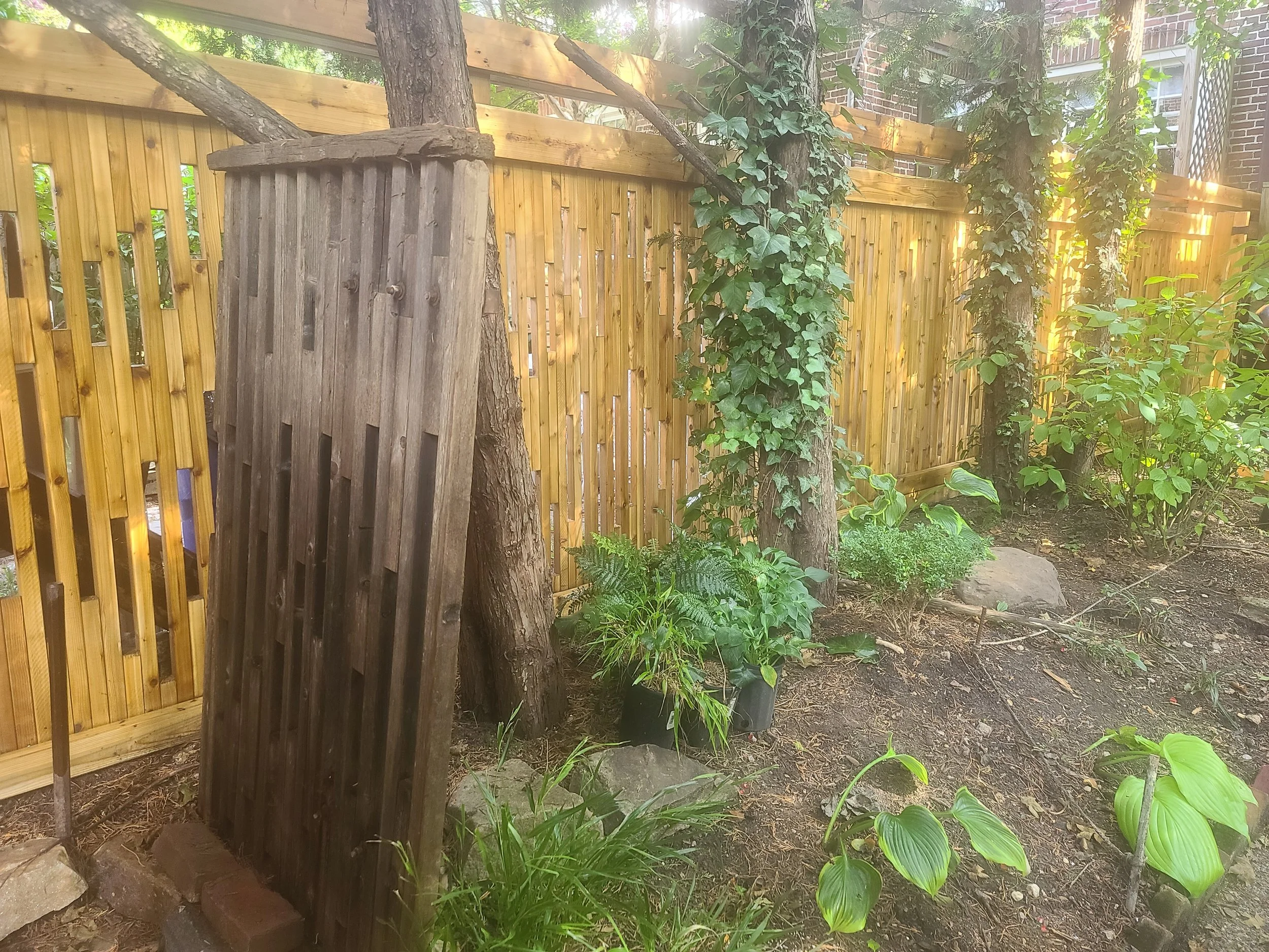 20230812_160915.jpg
