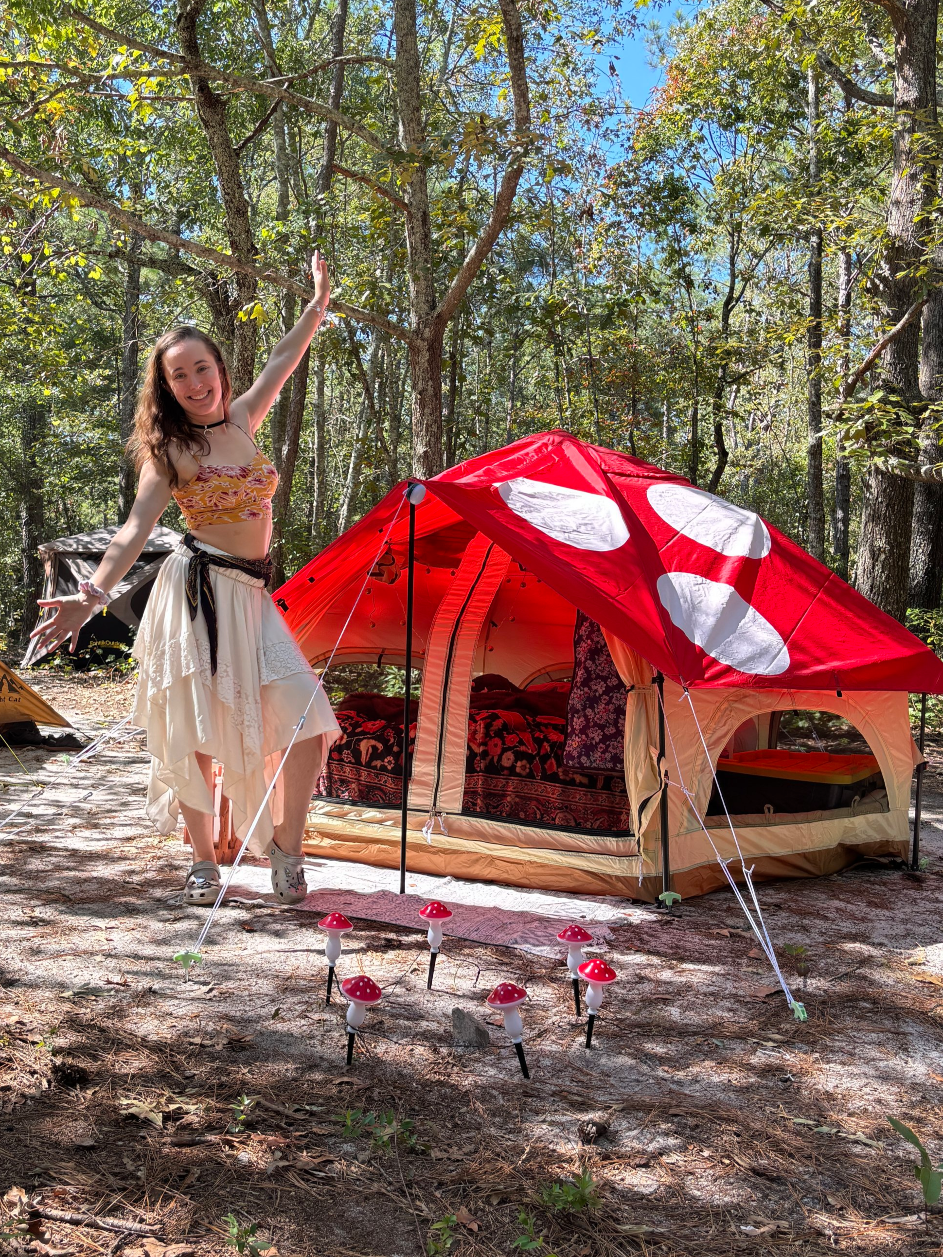 Fantasy Camping Setup