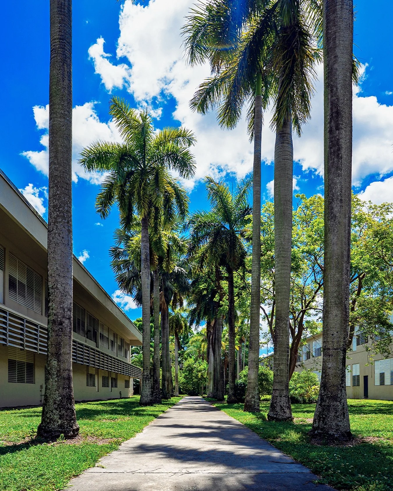 Walk these halls one more time. Sign up for our free School Tour on Saturday, 11/15 at 10AM! We&rsquo;re gathering a head count, so don&rsquo;t wait! hhsalumni2005.com/tour 👈🏼

#hialeahhigh2005